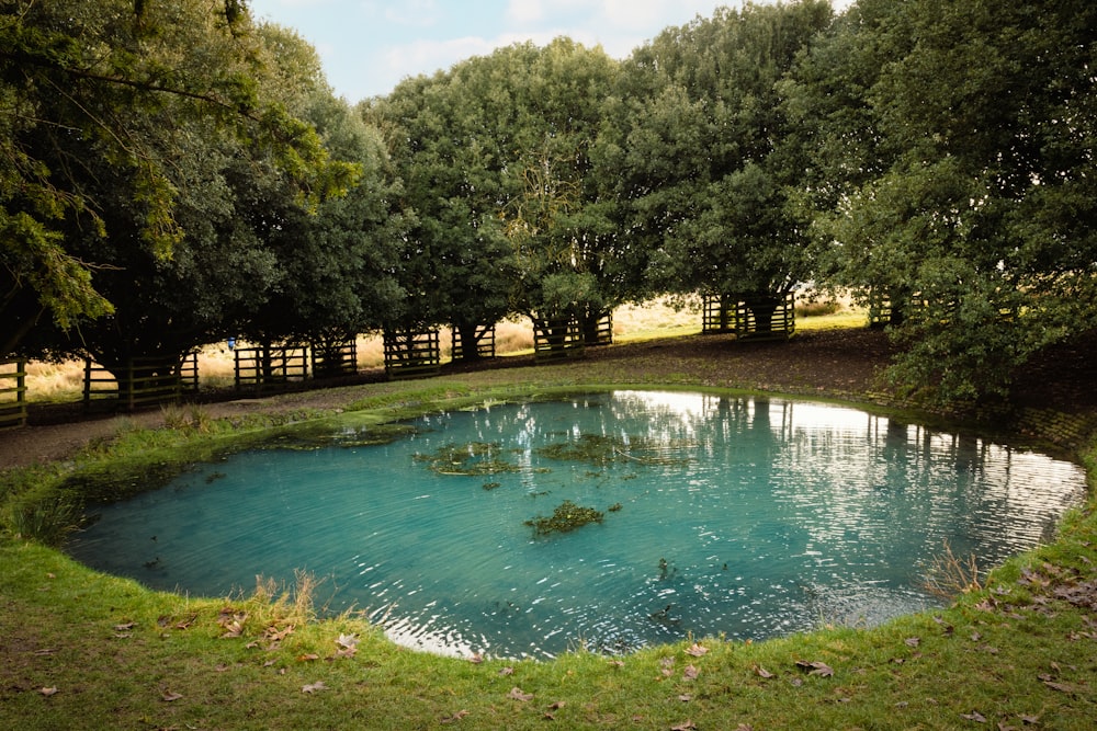 a pool of water surrounded by trees and grass