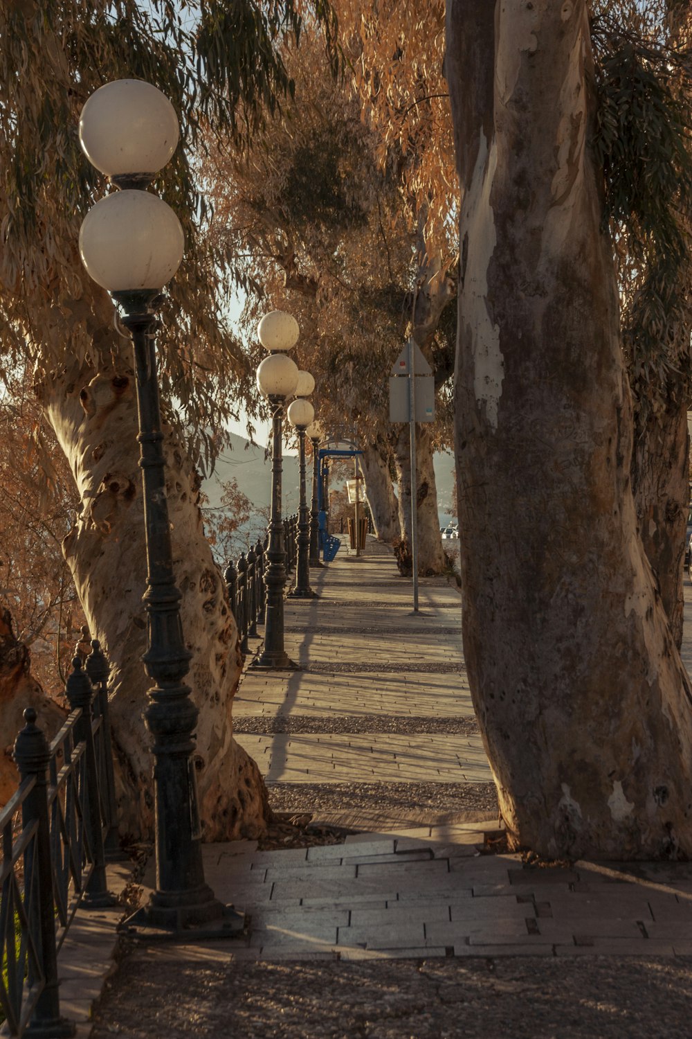 a sidewalk with a bunch of trees on both sides of it