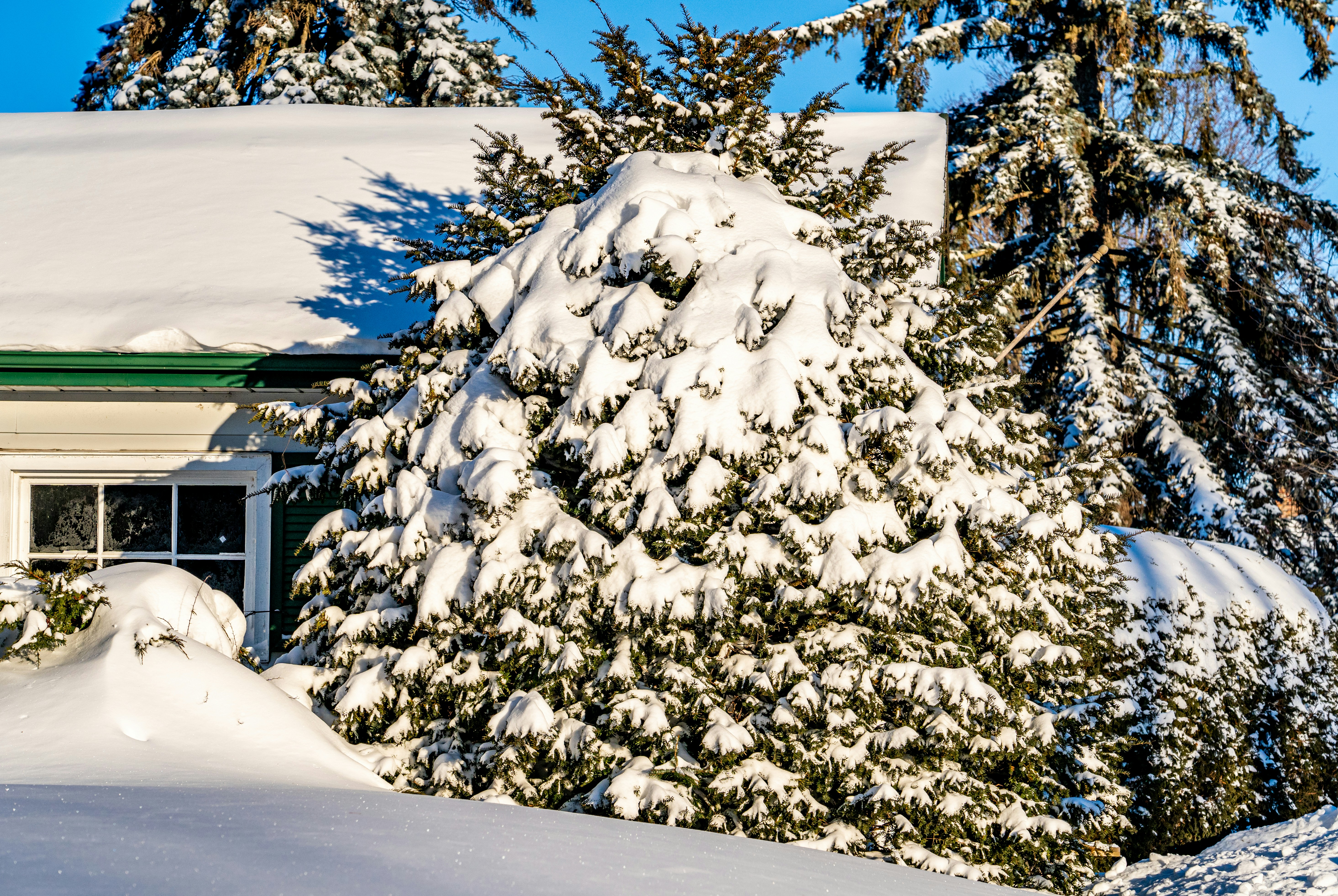 Photo by chris_robert