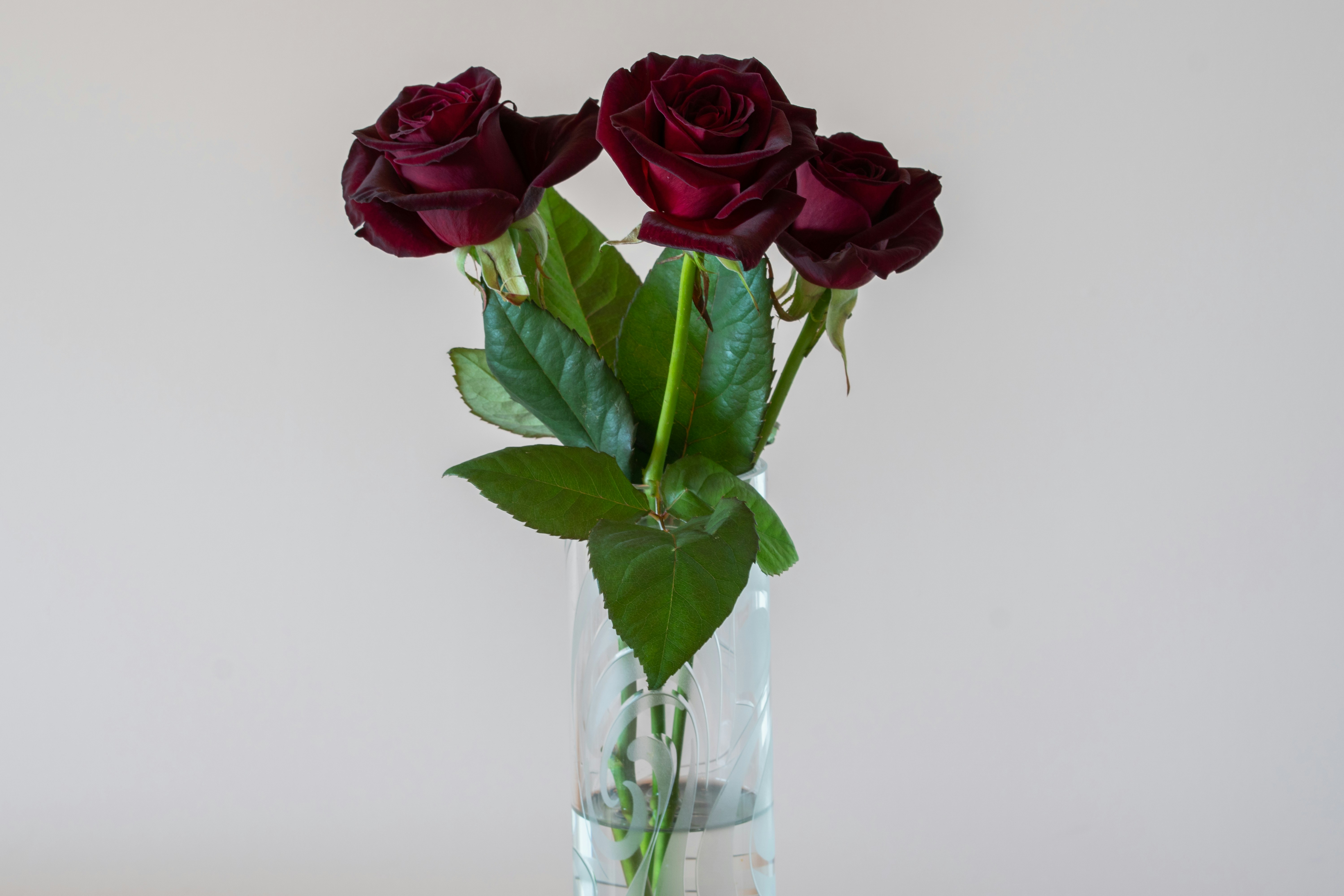 Photo by earl_plannerzone