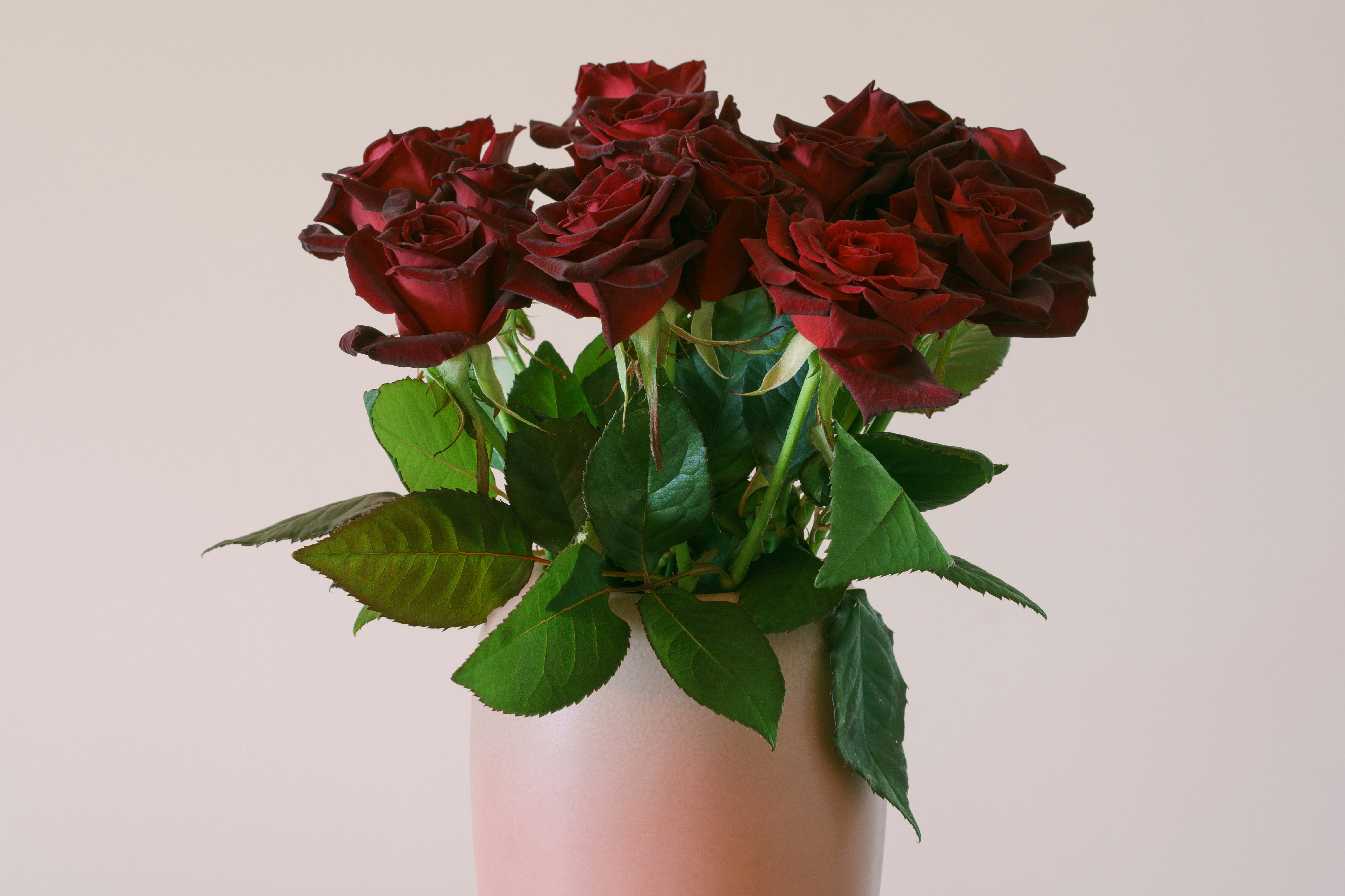 Photo by earl_plannerzone