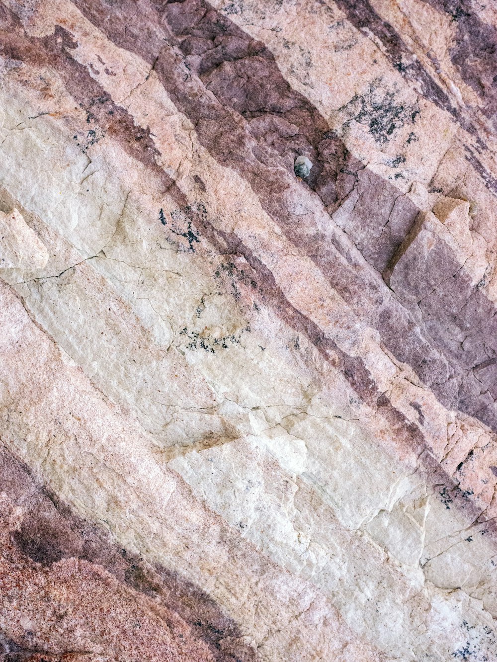 a close up of a rock with a bird on it