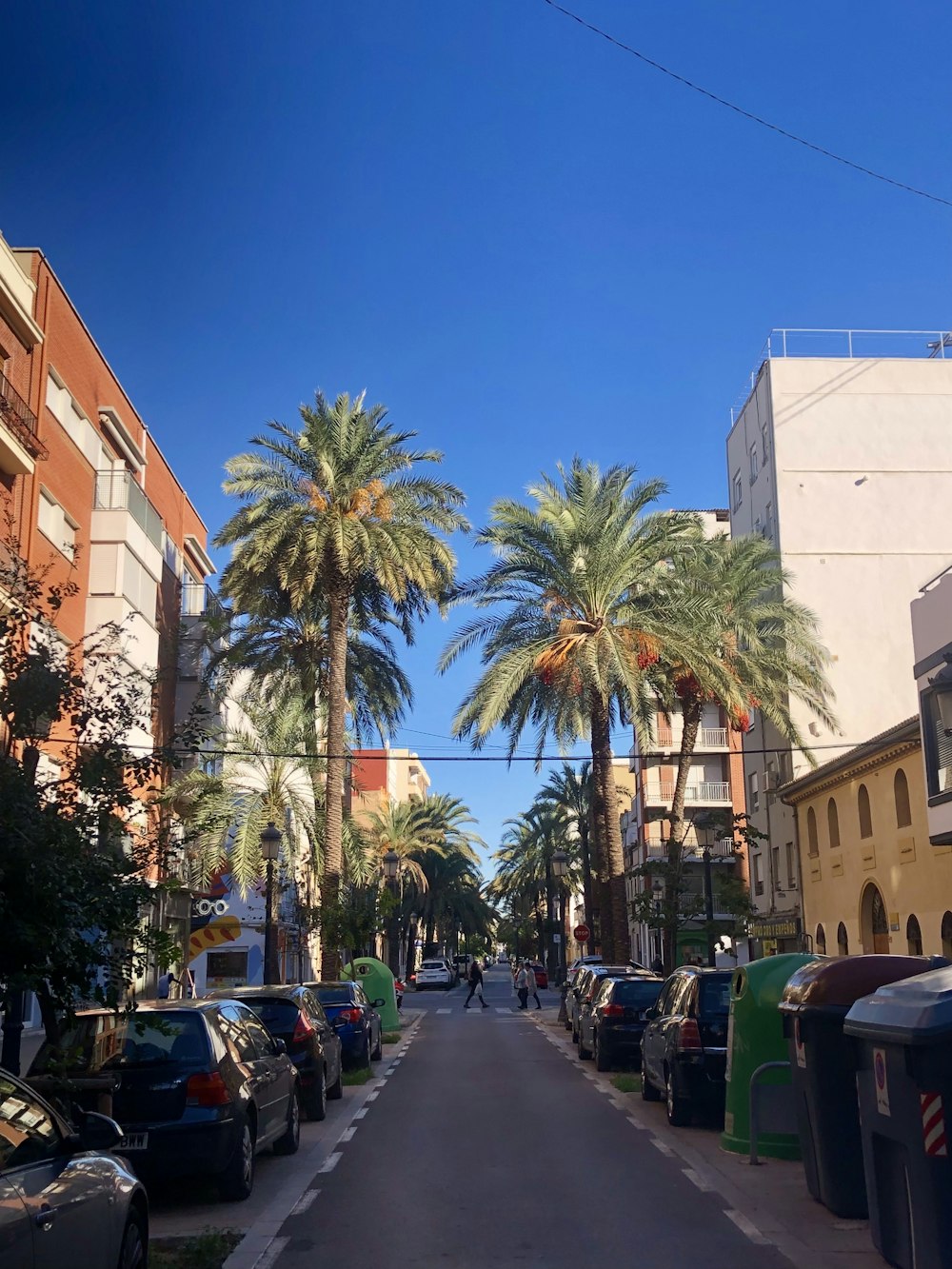 a street lined with palm trees next to tall buildings