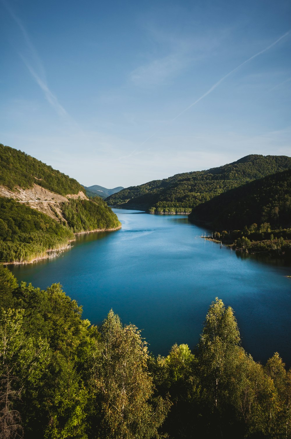 a large body of water surrounded by trees