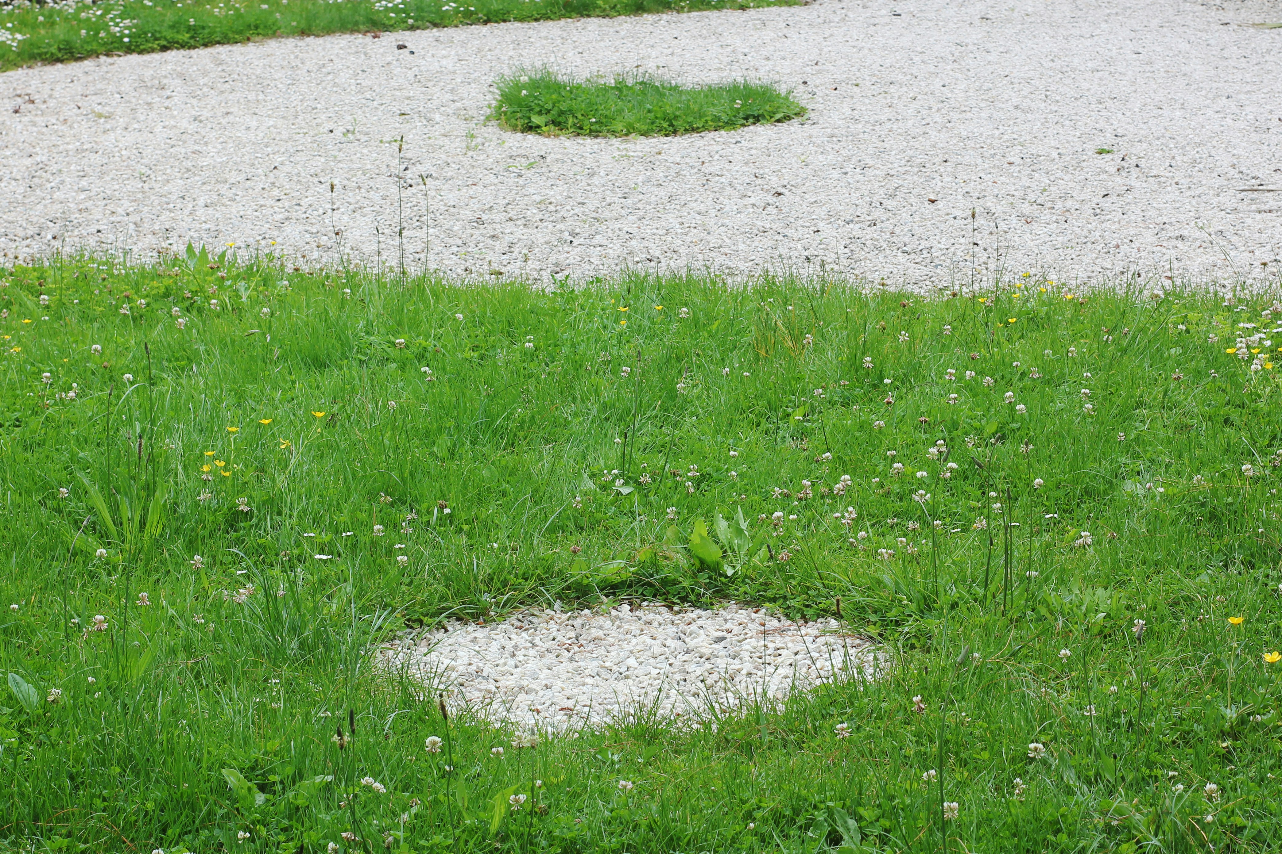 a fire hydrant in the middle of a grassy area