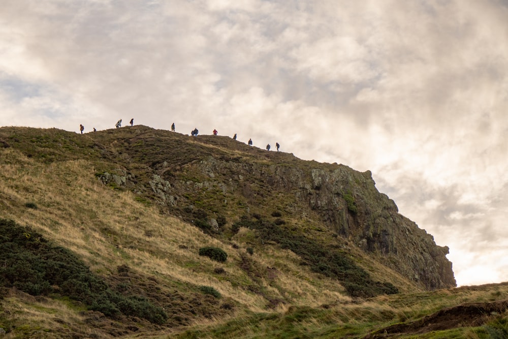 Un grupo de personas de pie en la cima de una exuberante ladera verde