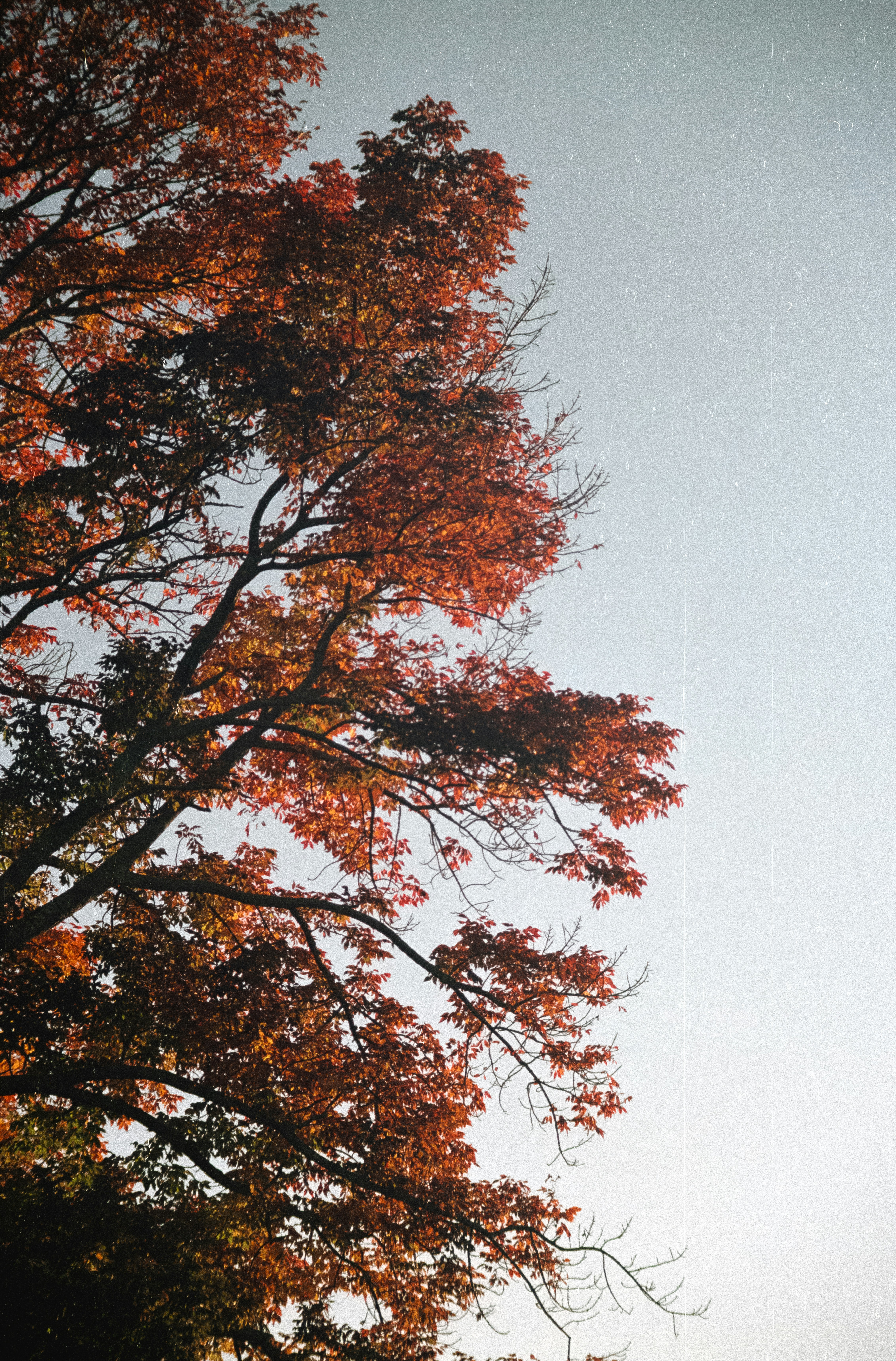 Photo by iceage26