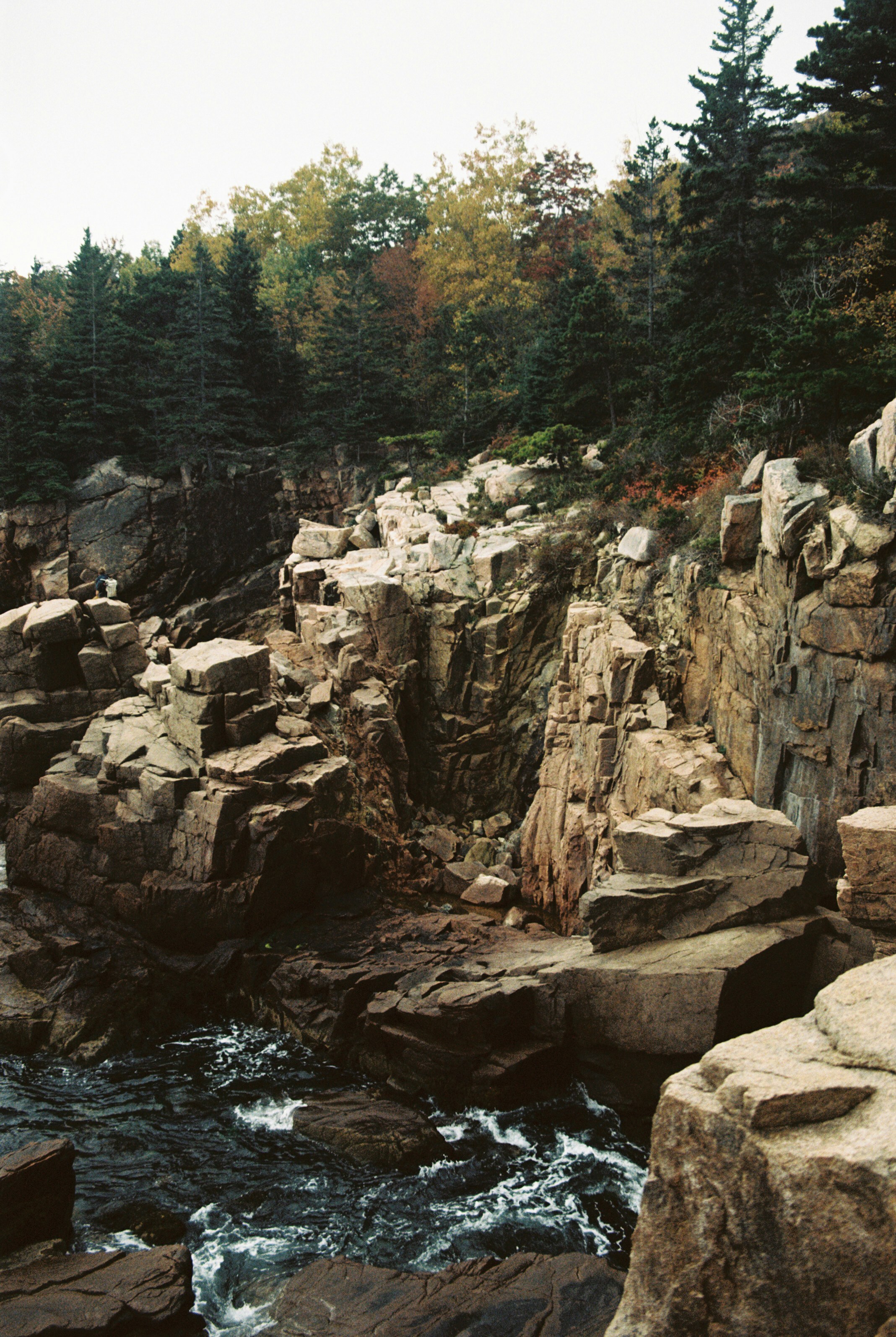 A river flowing between two large rocks near a forest photo – Free ...