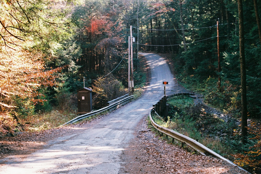 a dirt road in the middle of a forest