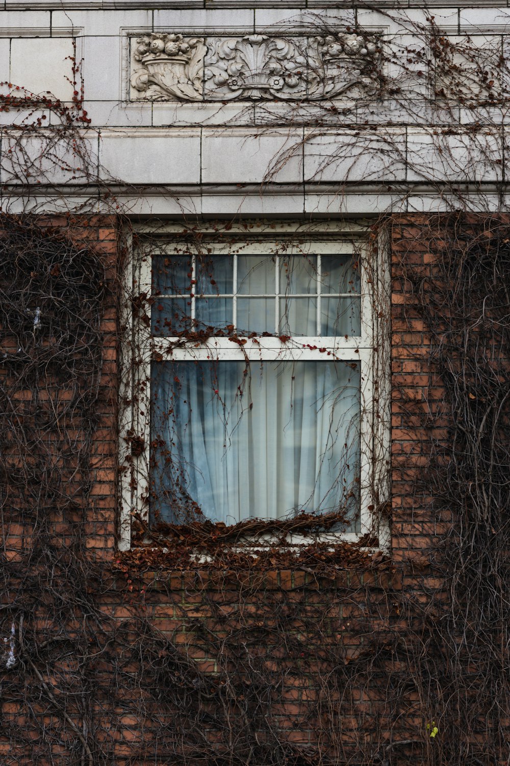 a brick building with vines growing on it