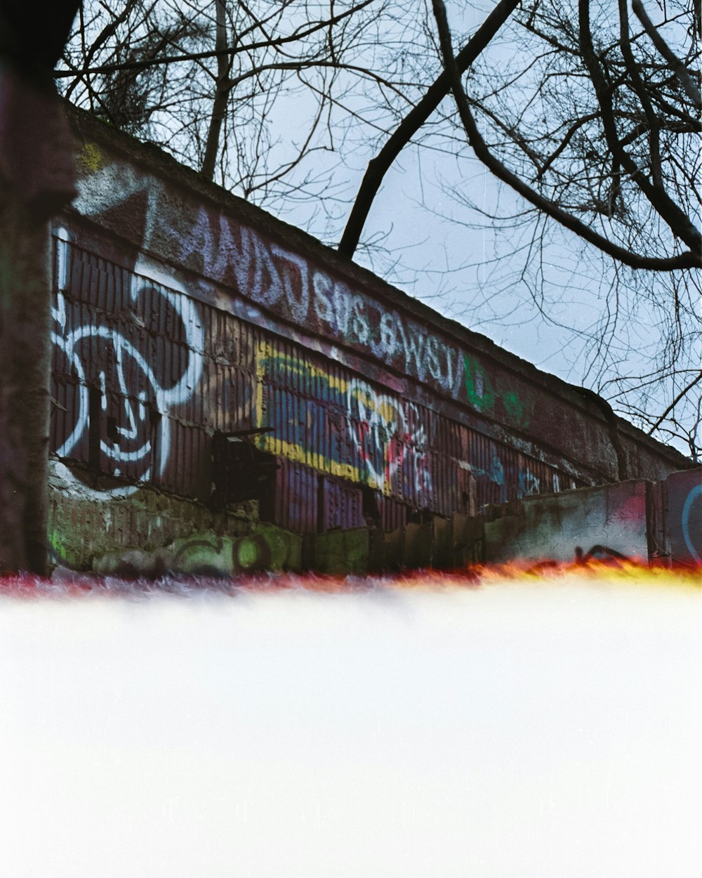 a wall covered in graffiti next to a tree