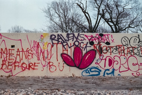 A concrete wall covered in colorful graffiti with various styles of writing and imagery. Prominent in the center is the word 'RAVENS' along with some abstract shapes and doodles, including a large pink and black flower-like design. The background features leafless trees against a gray sky, suggesting a winter setting.