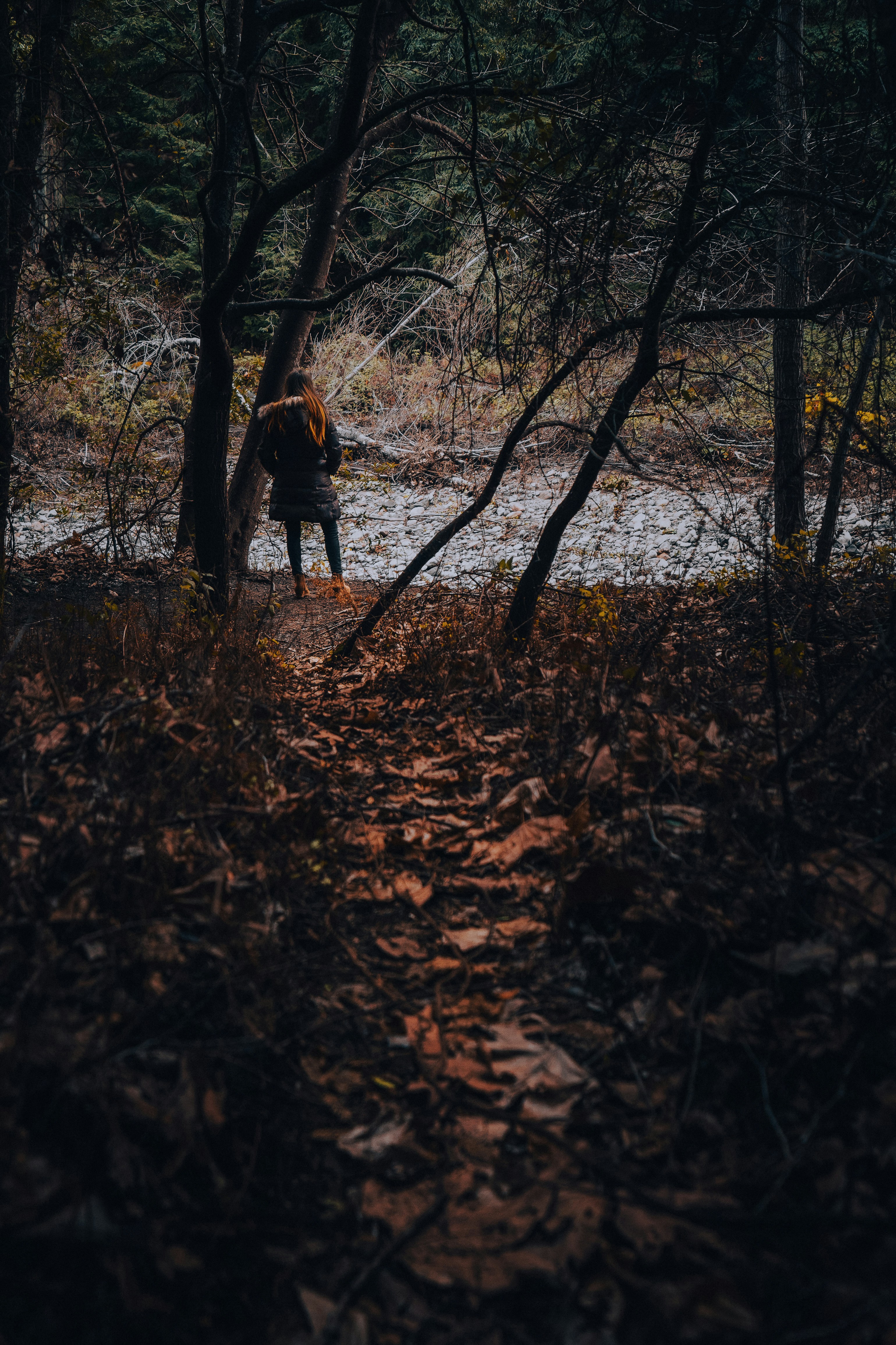 Photo by kalaniparker