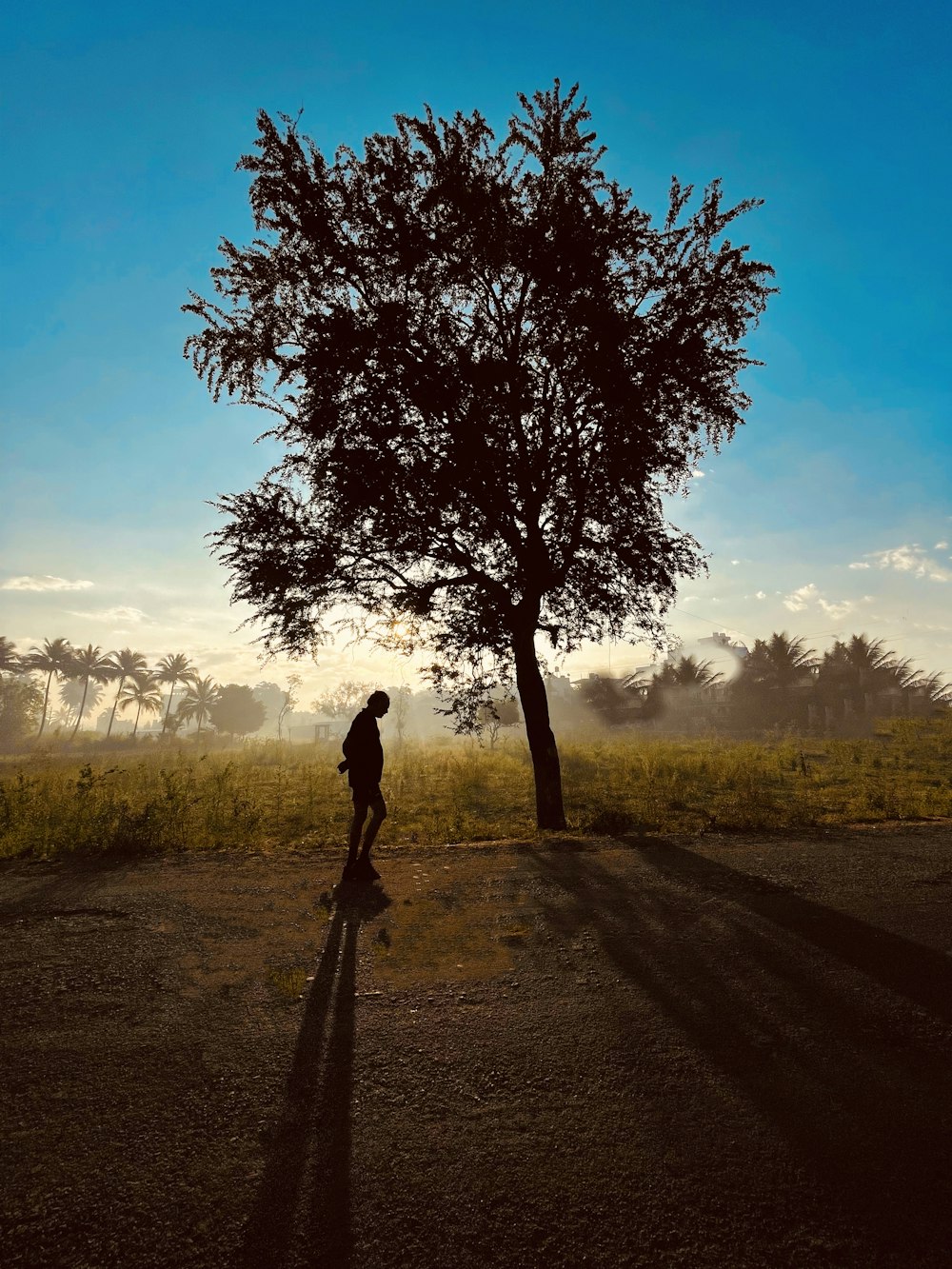 a person standing next to a tree on a dirt road