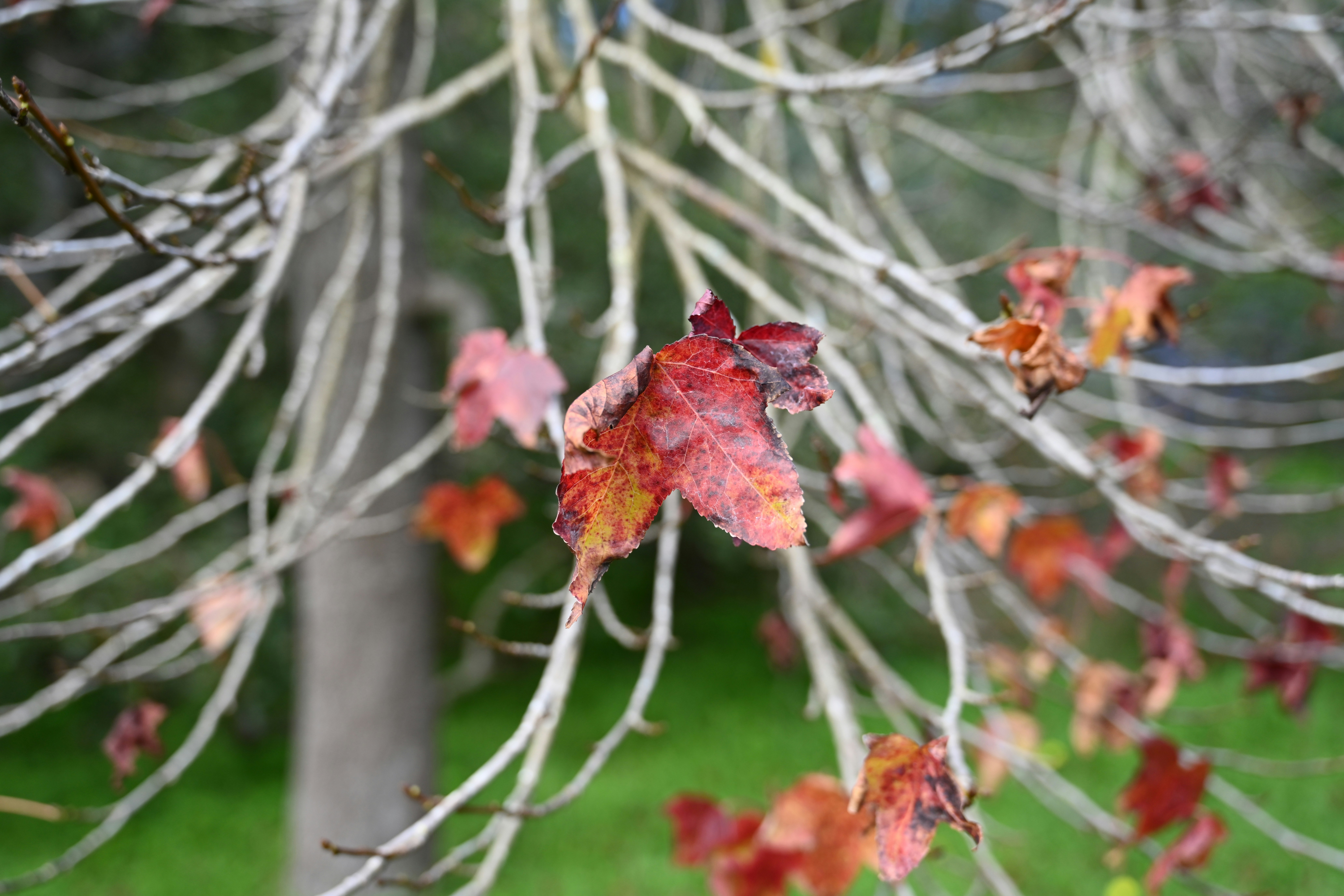 Photo by theunknownaldiaz