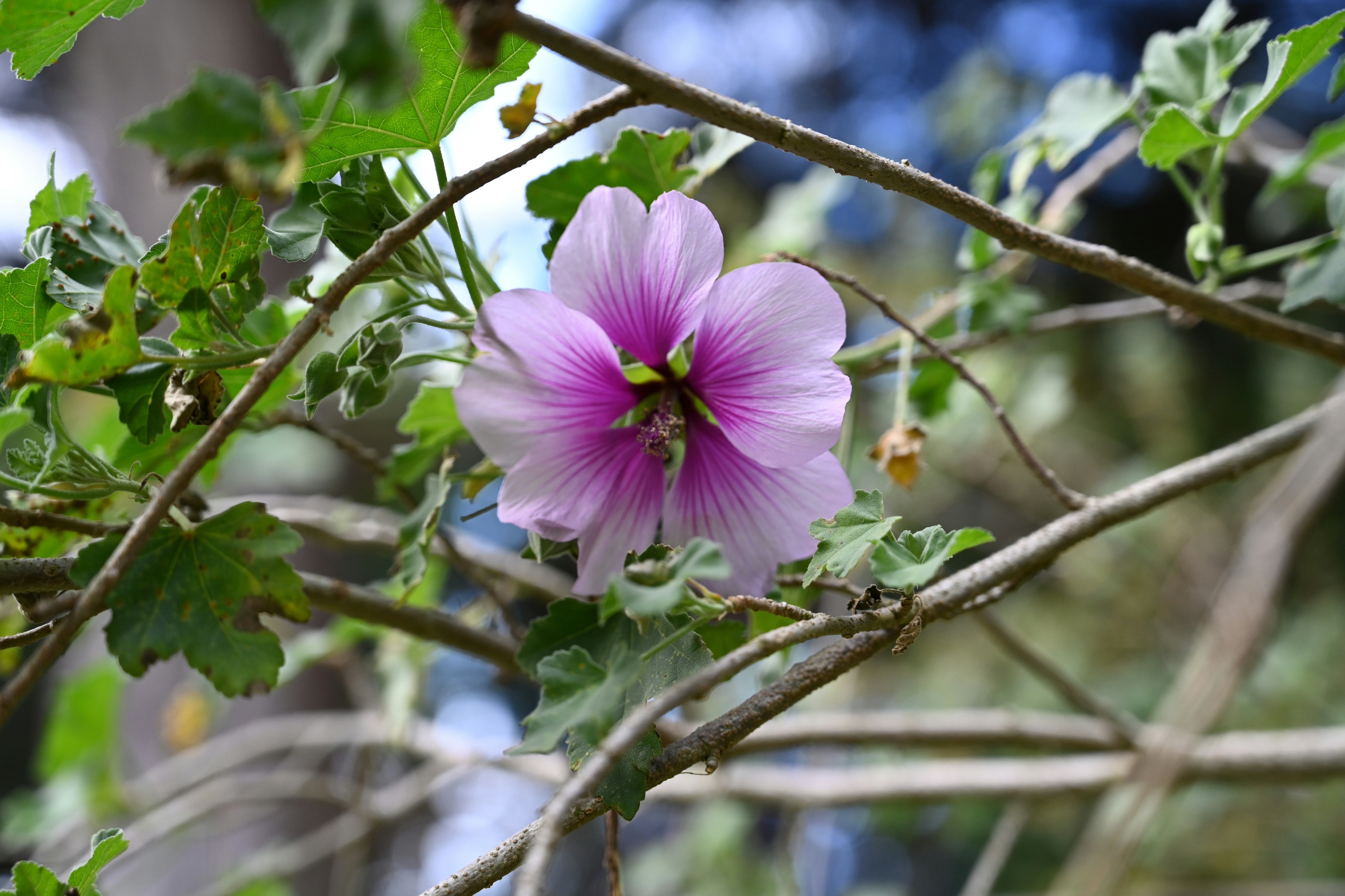 Photo by theunknownaldiaz