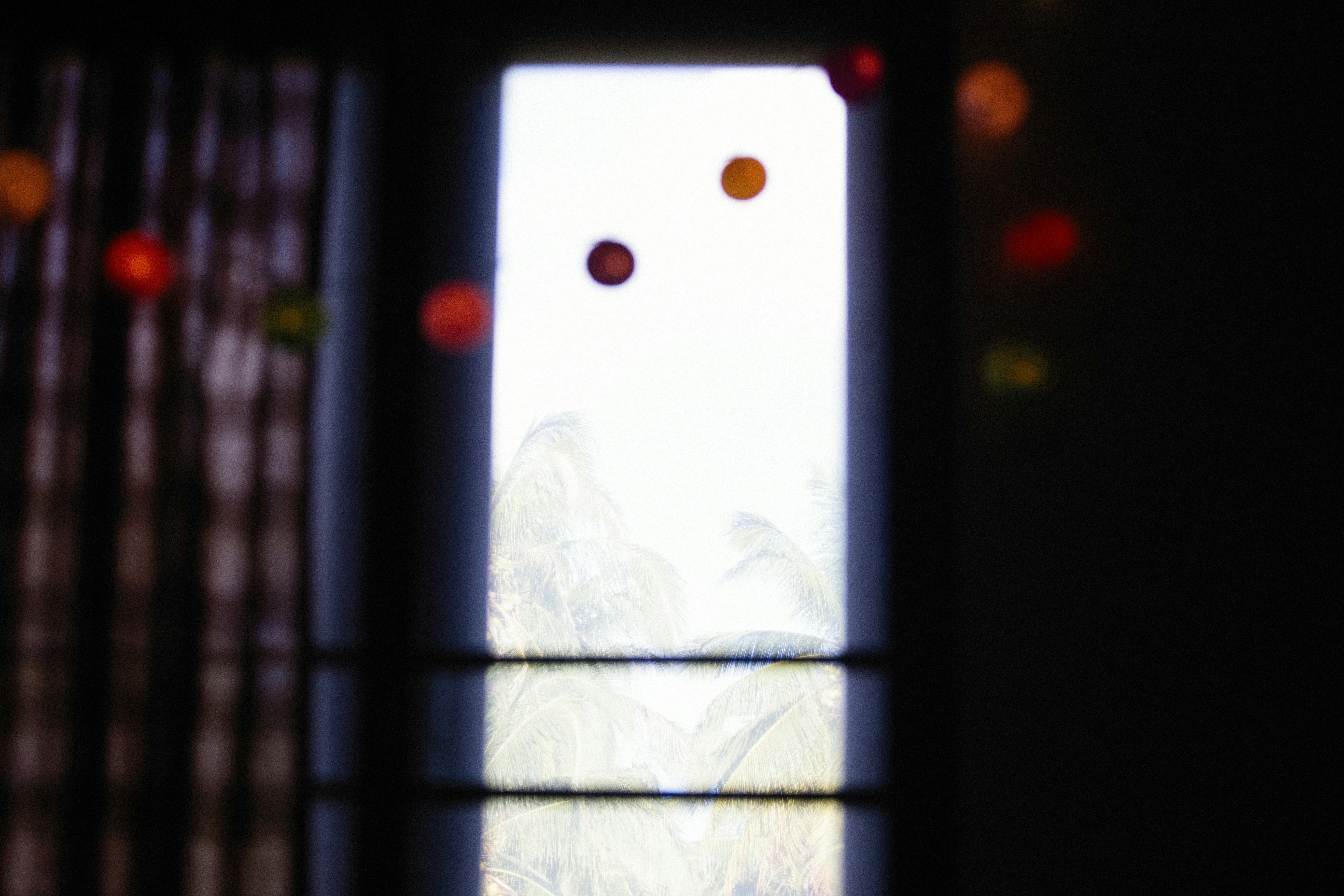 Photo by alexeydemidov