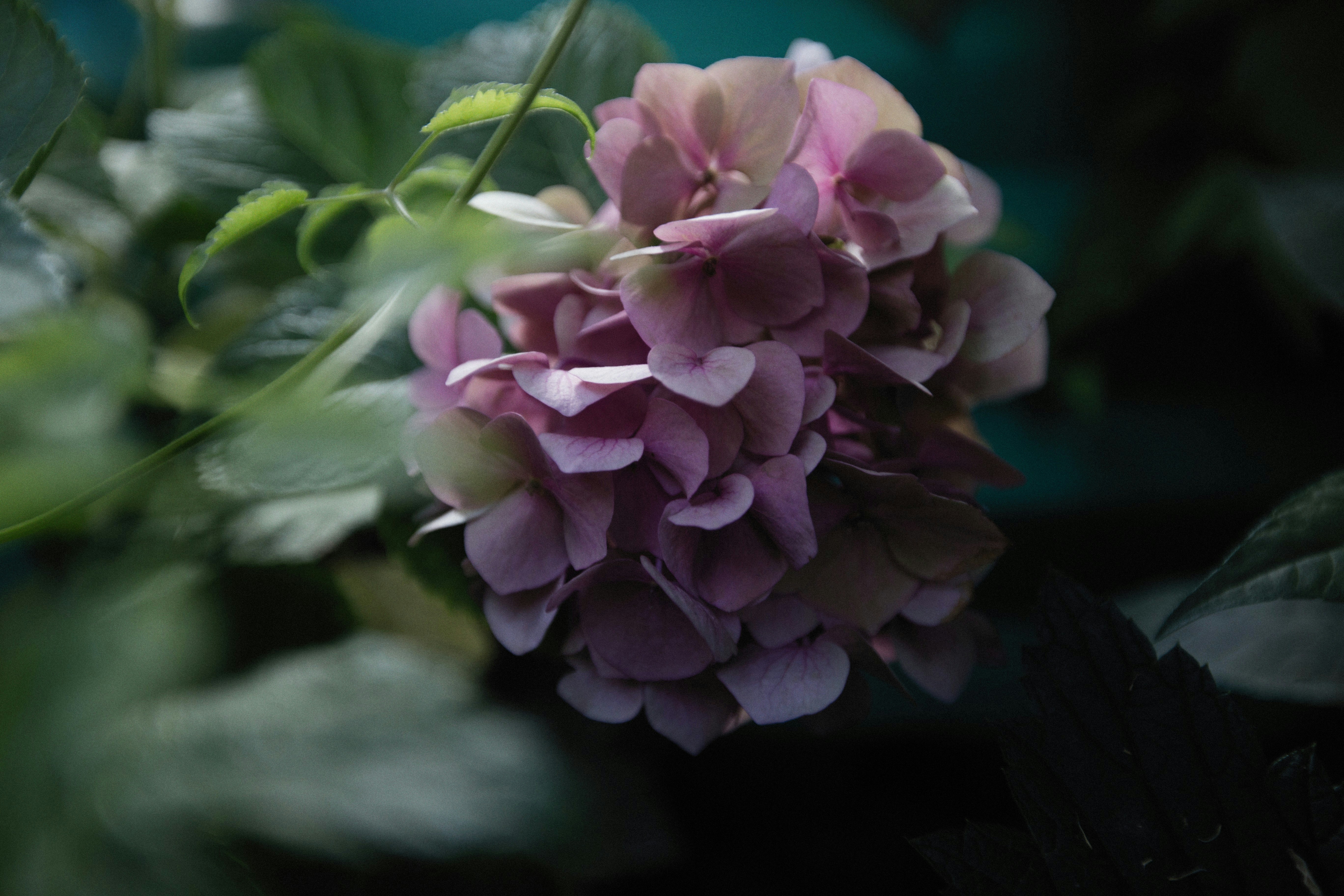 Photo by alexeydemidov