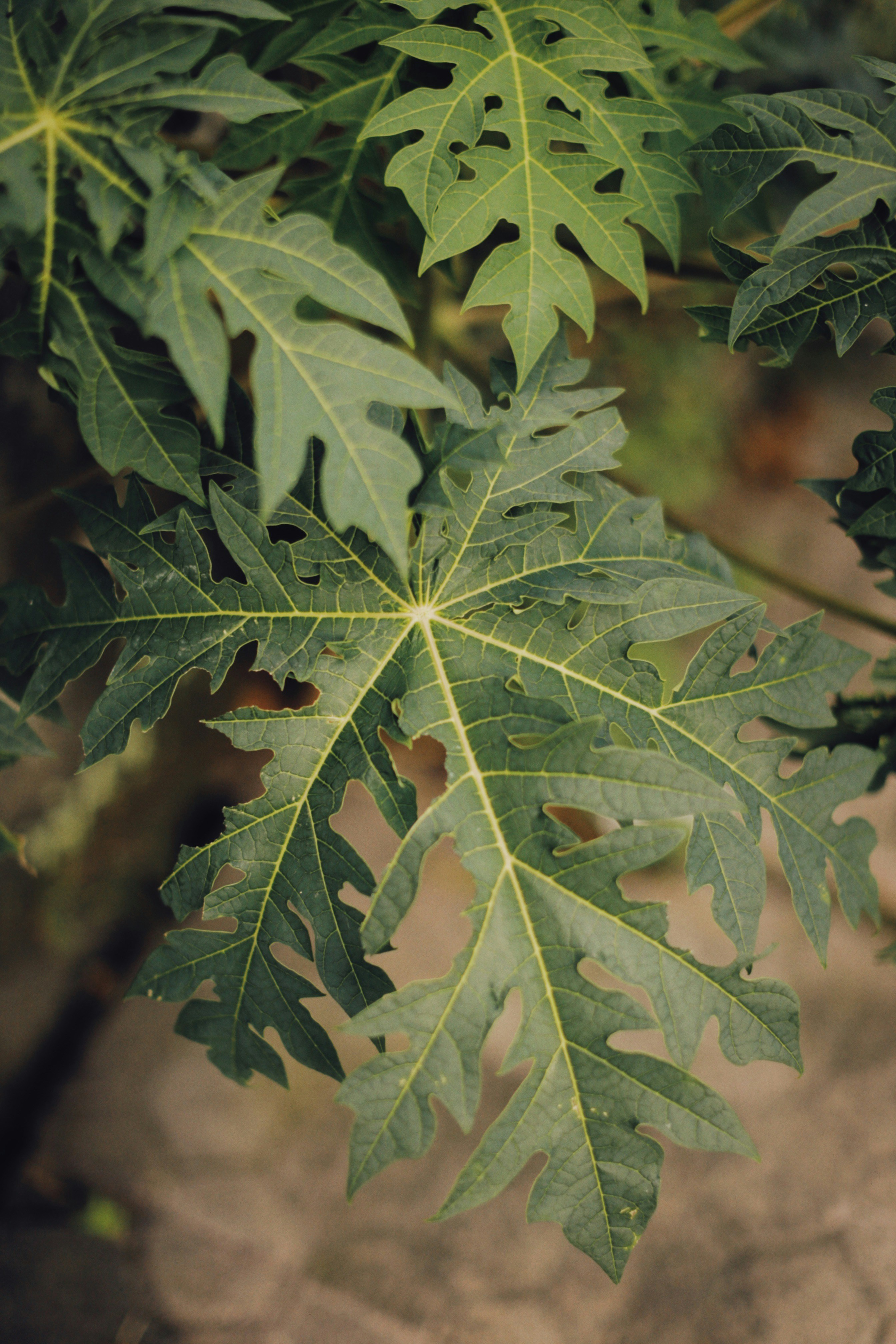 Photo by alexeydemidov