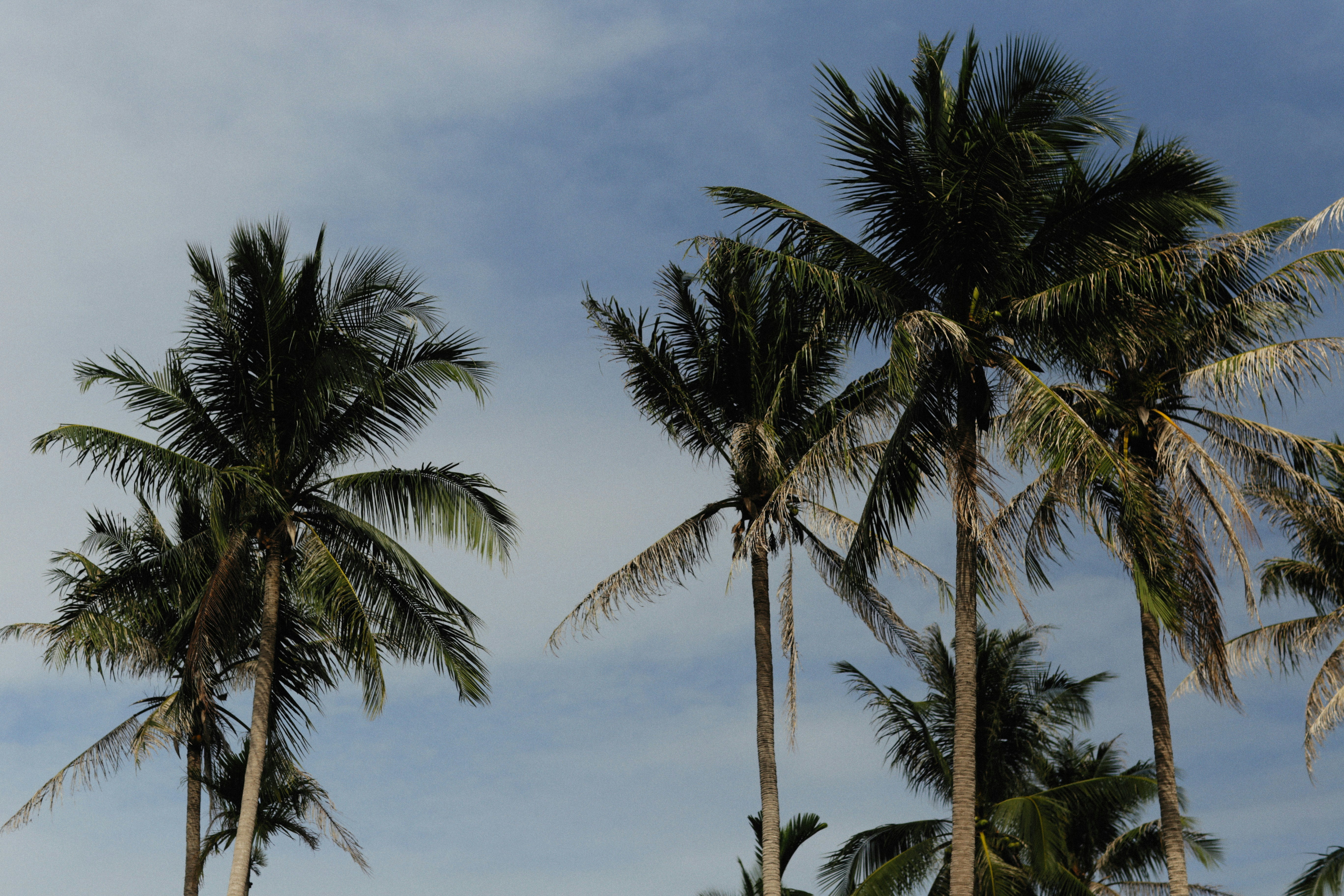 Photo by alexeydemidov