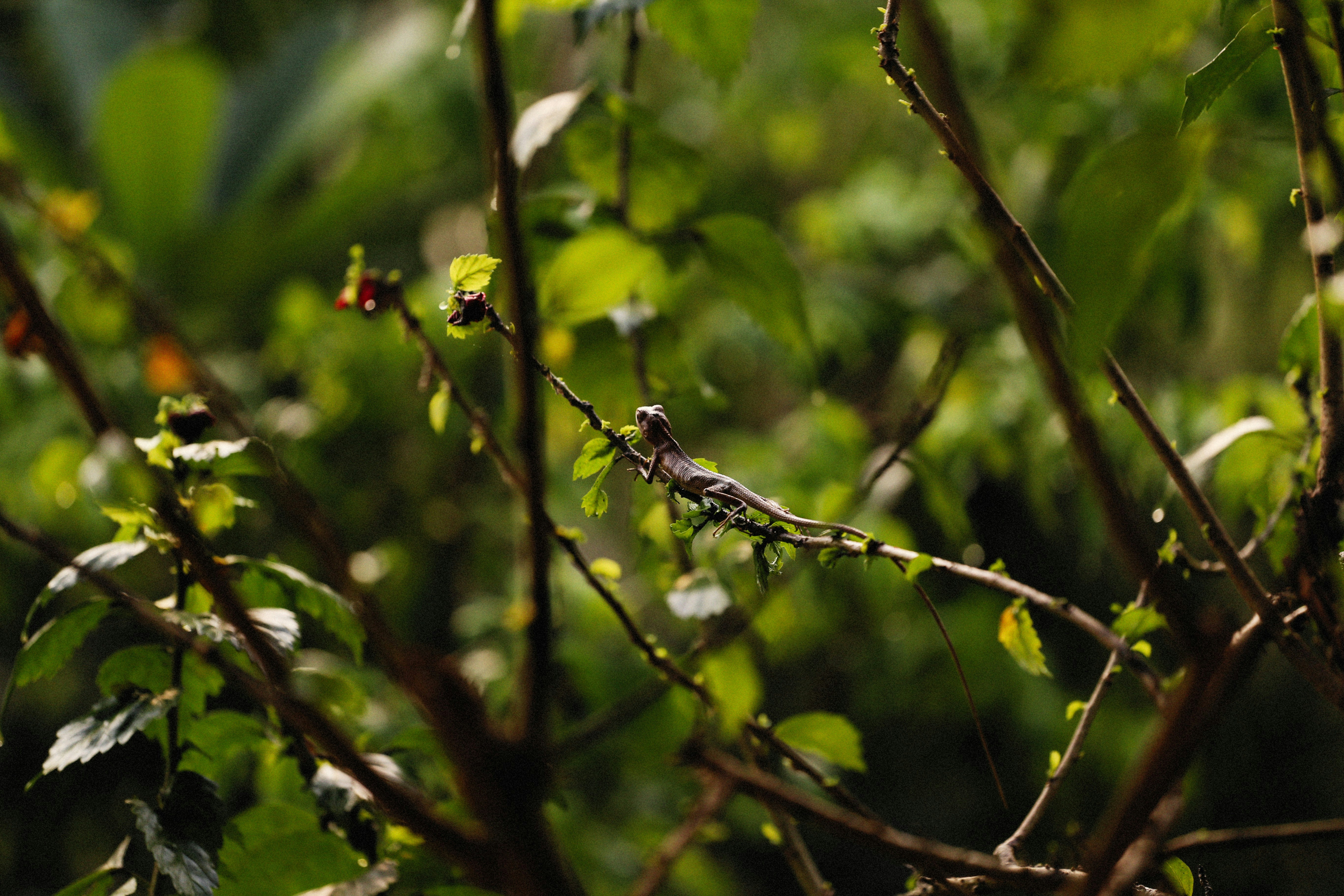 Photo by alexeydemidov