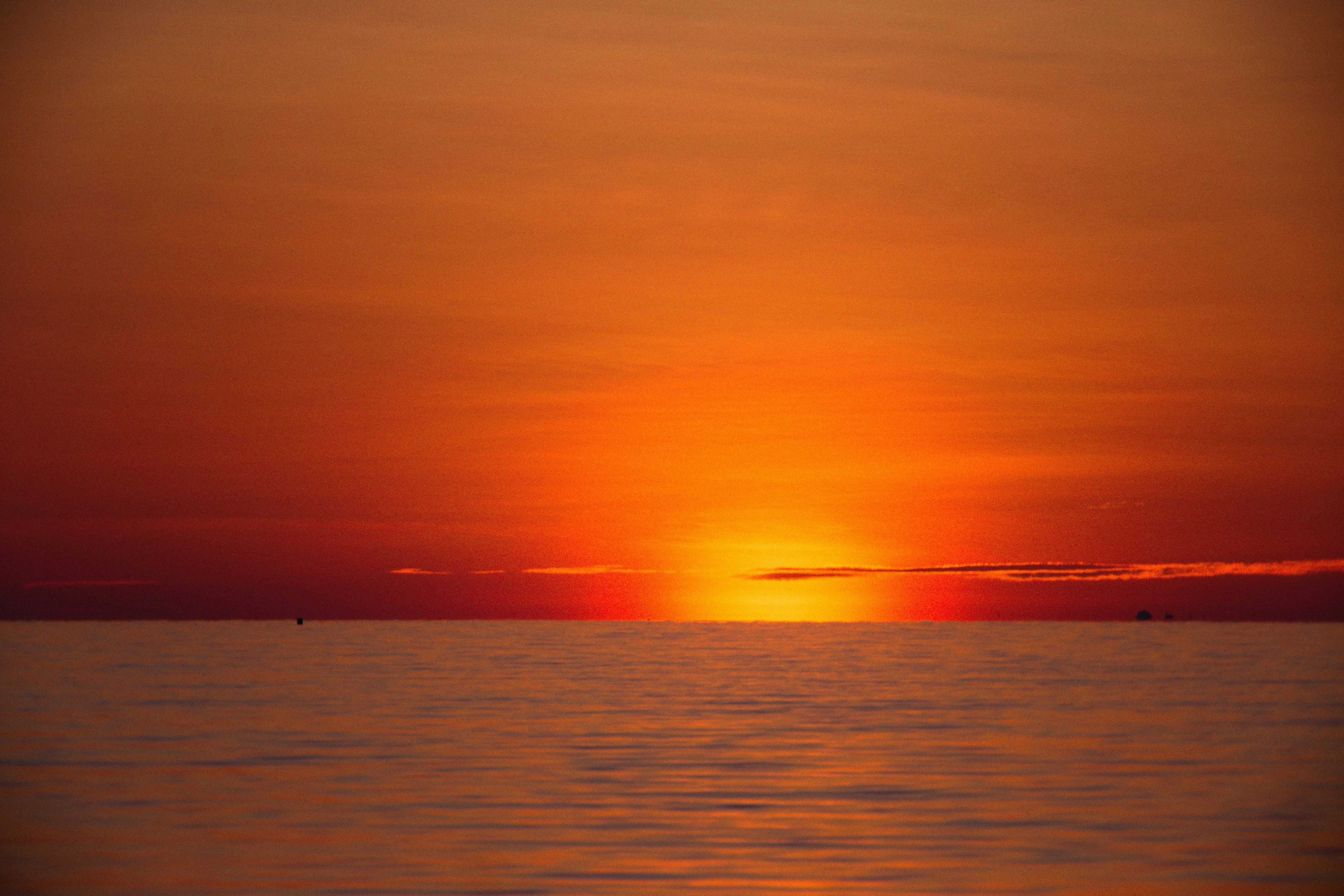 Photo by alexeydemidov