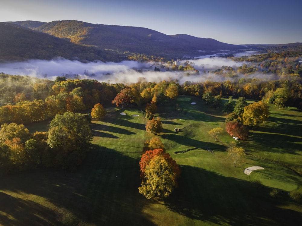 an aerial view of a golf course surrounded by trees