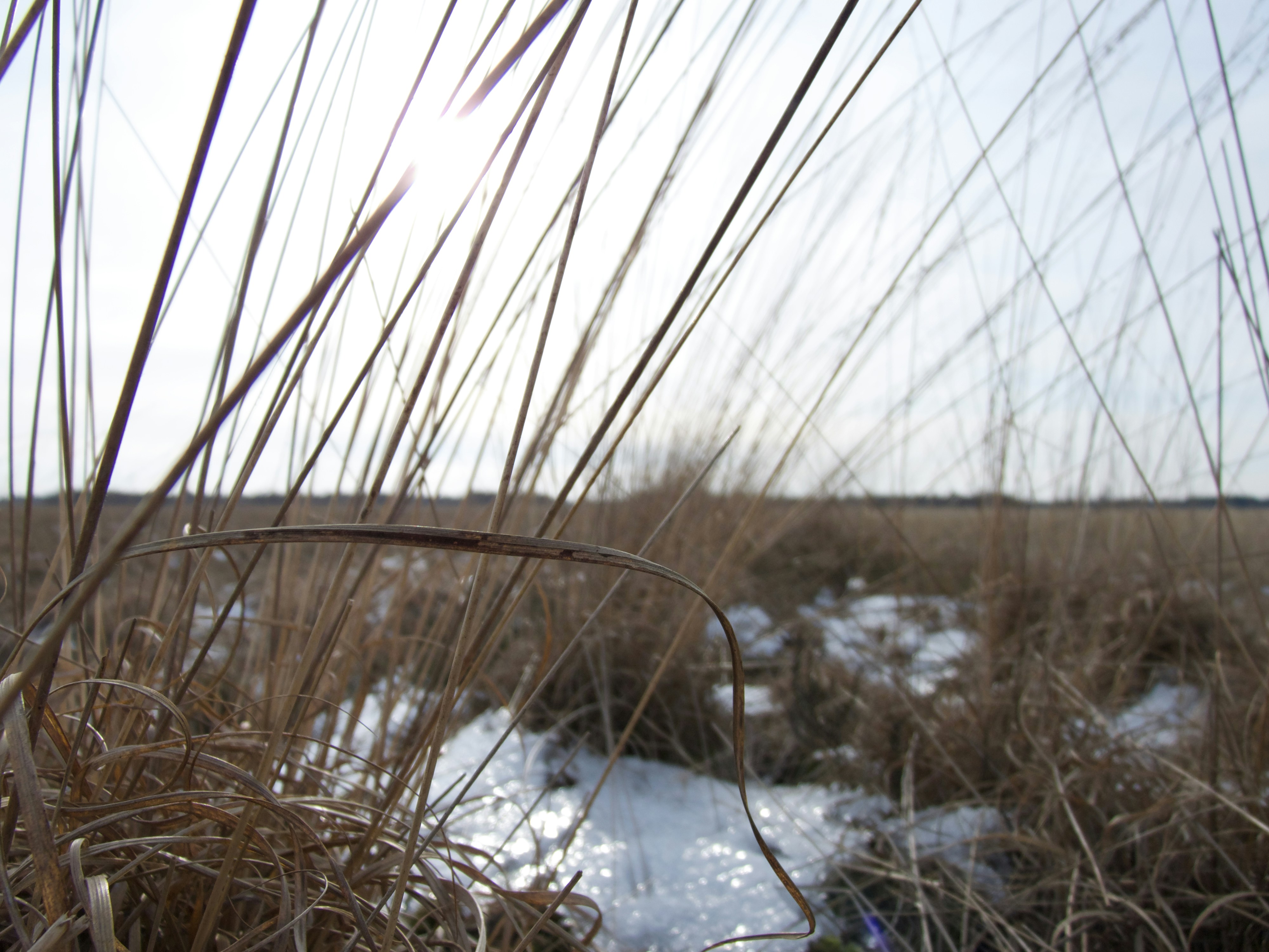 Photo by this_is_pvb