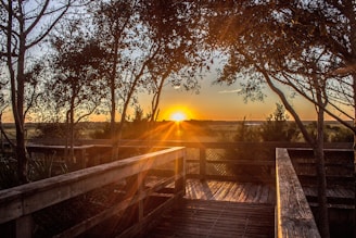 A sunset view from a walking trail.