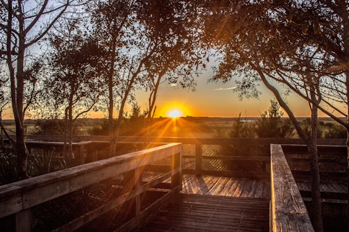 A sunset view from a walking trail.