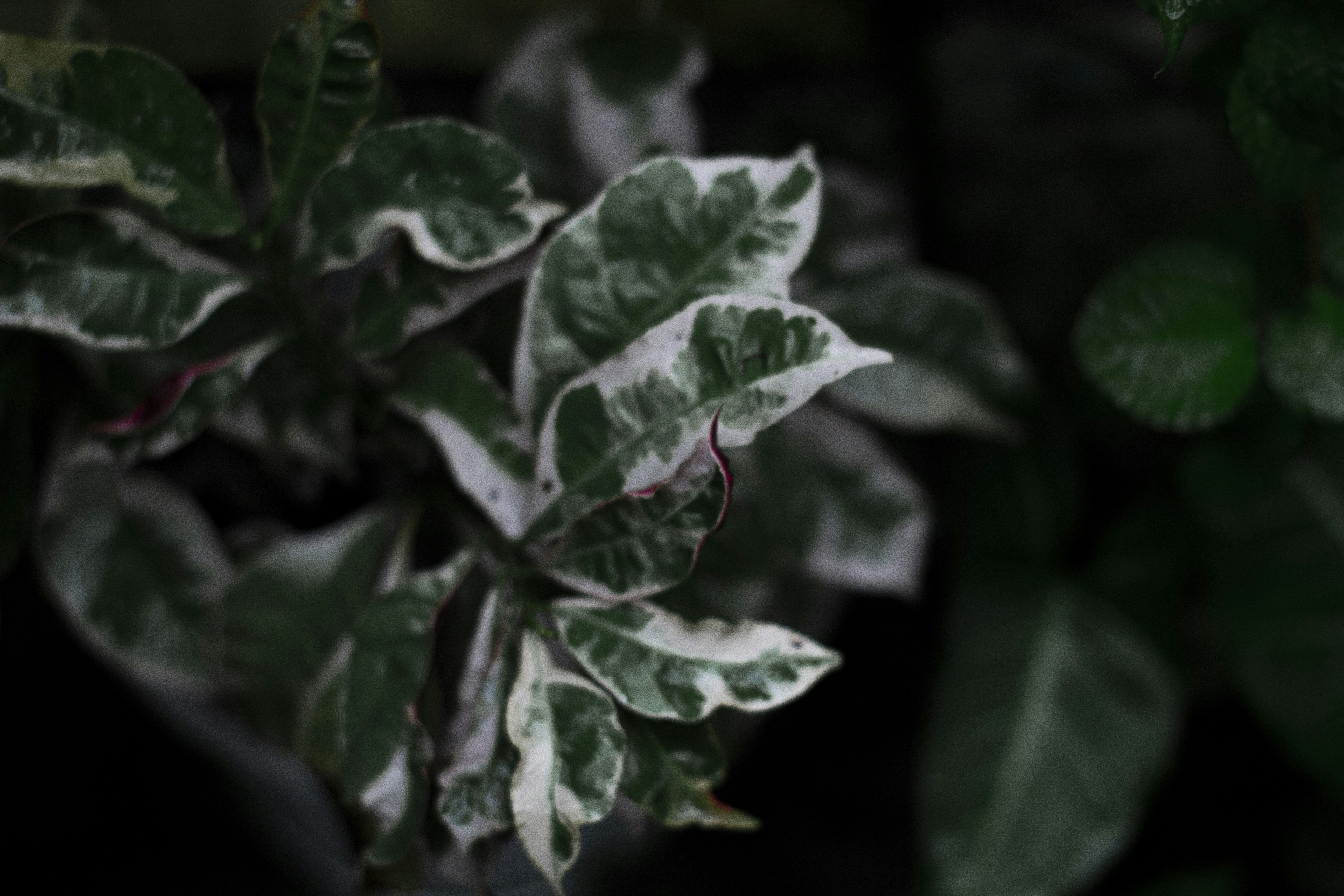 Photo by ilhamabitama