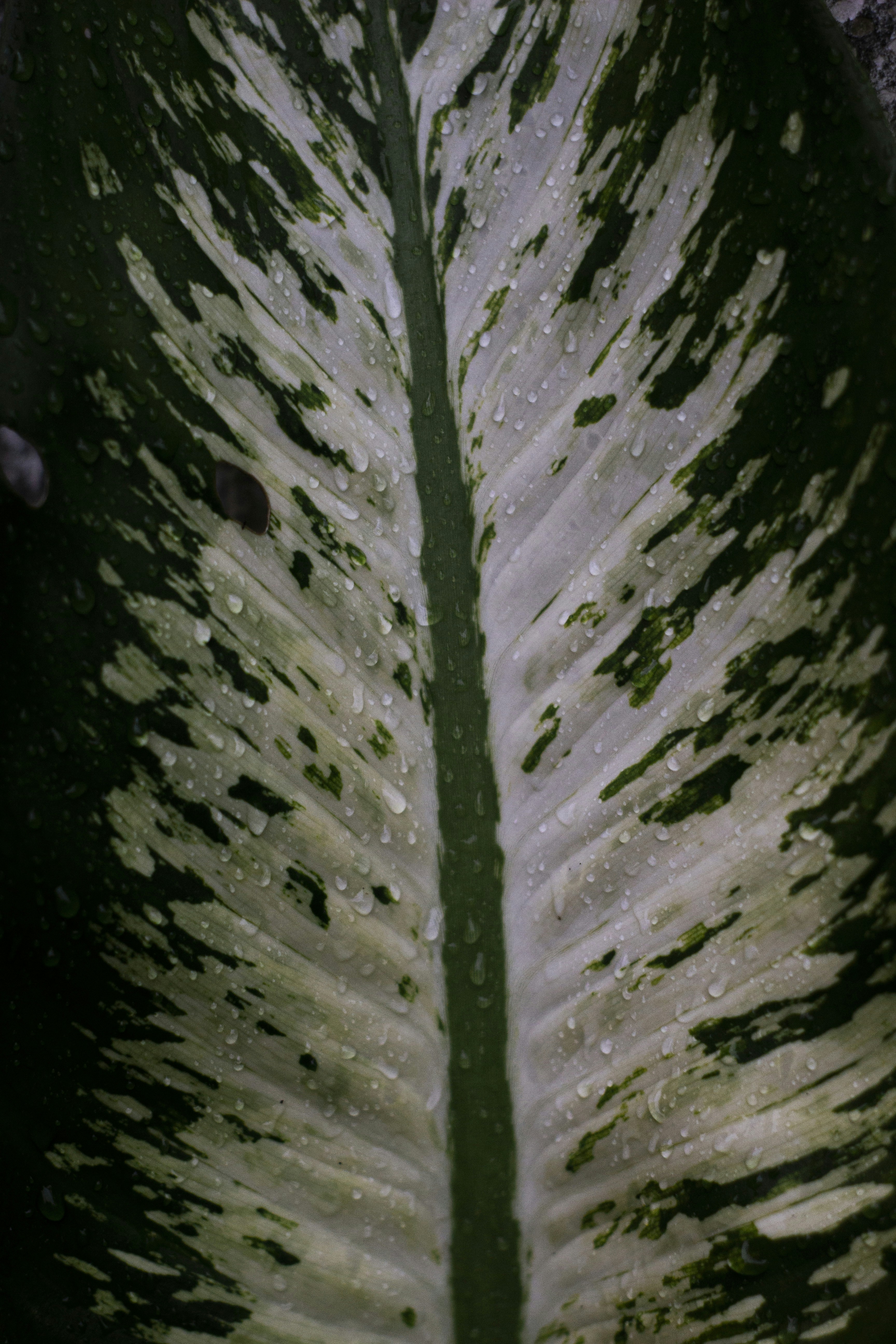 Photo by ilhamabitama