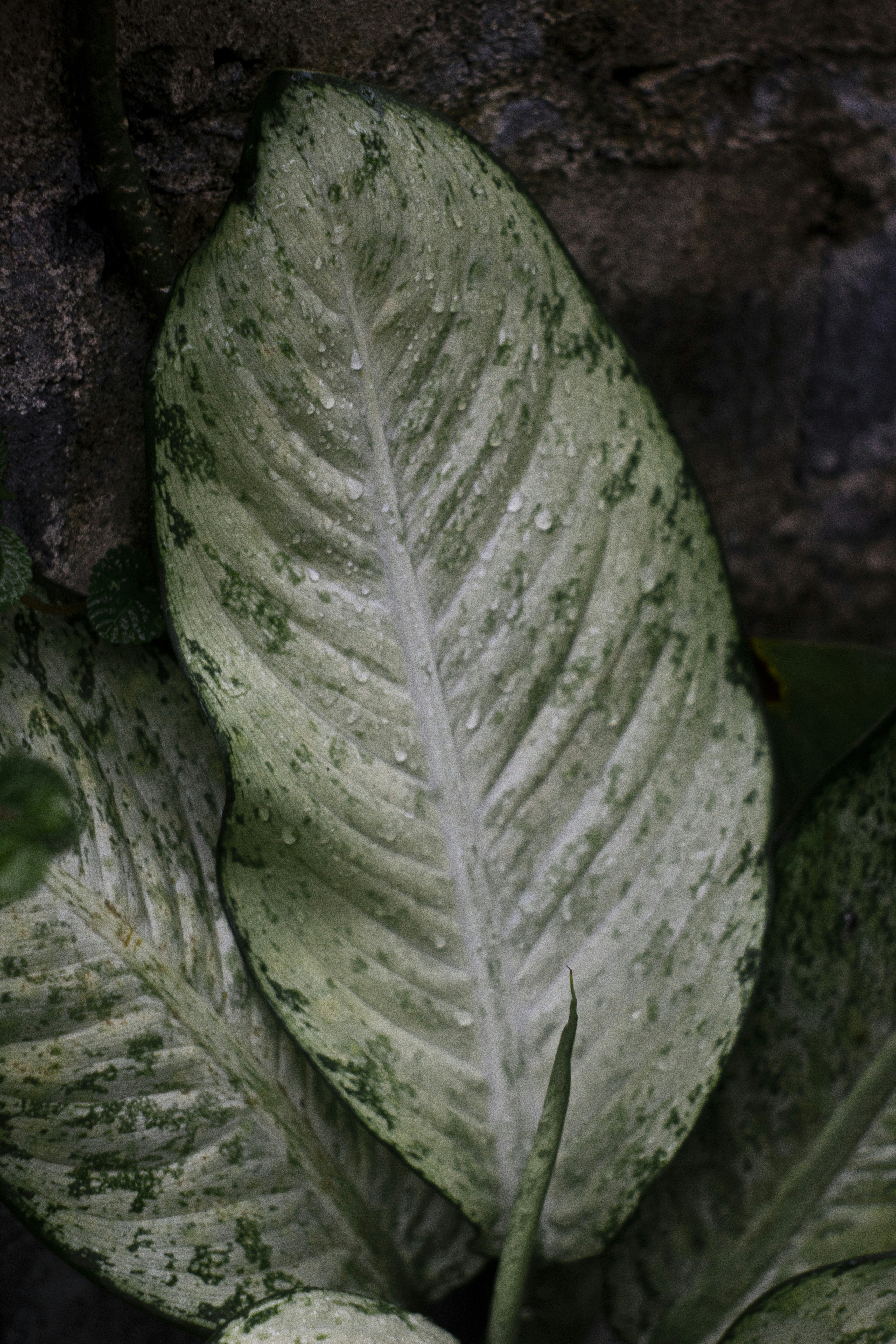 Photo by ilhamabitama