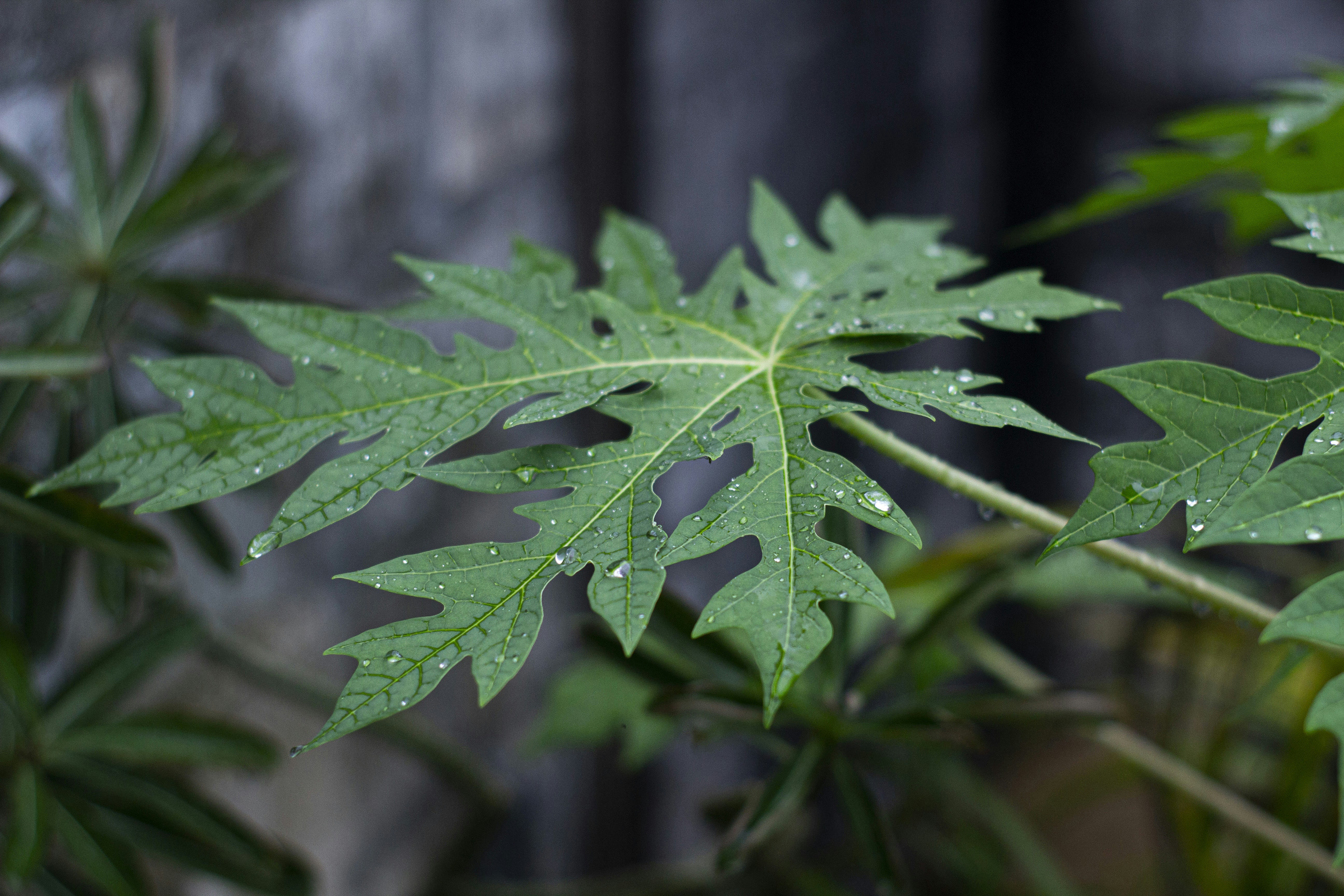 Photo by ilhamabitama