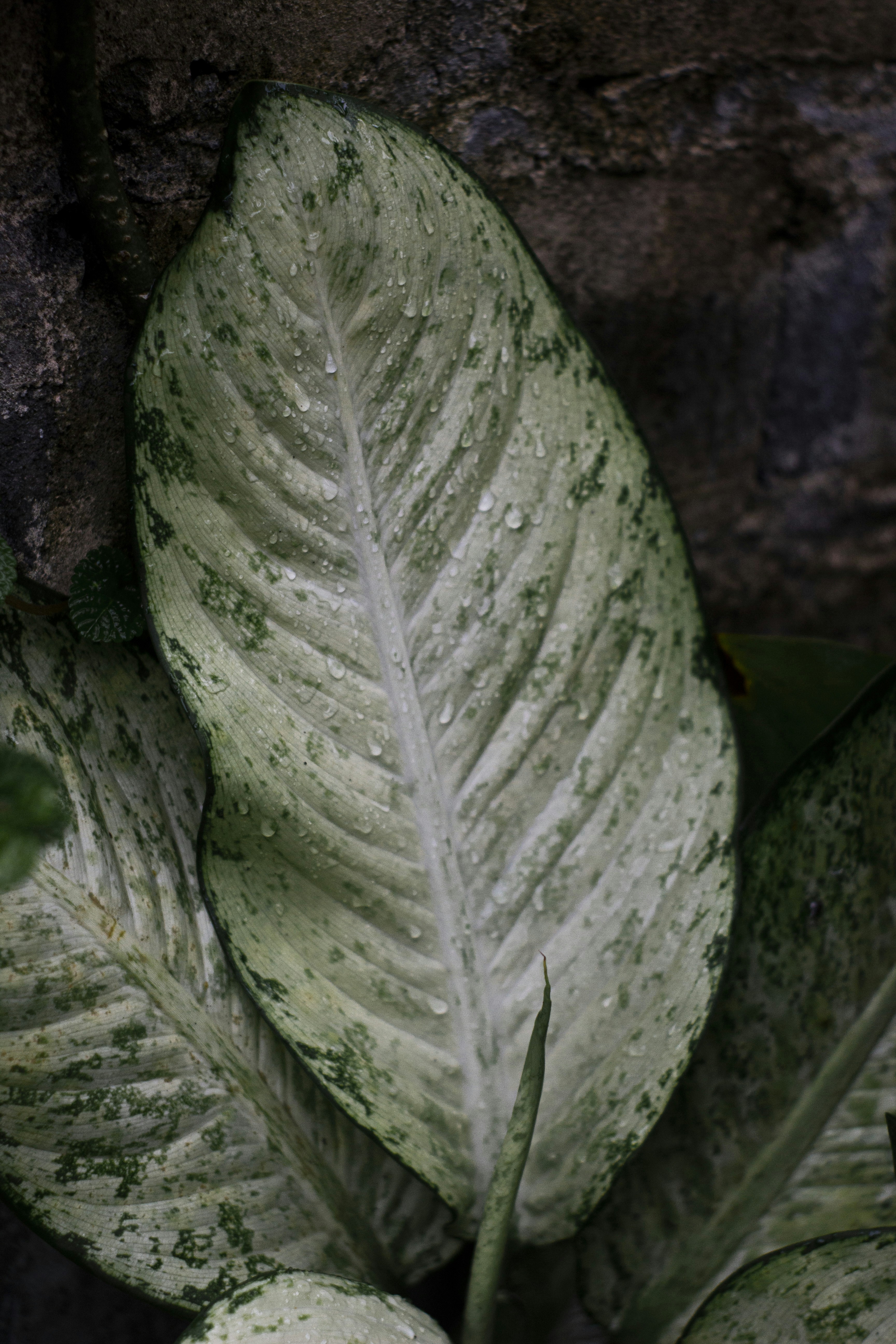 Photo by ilhamabitama