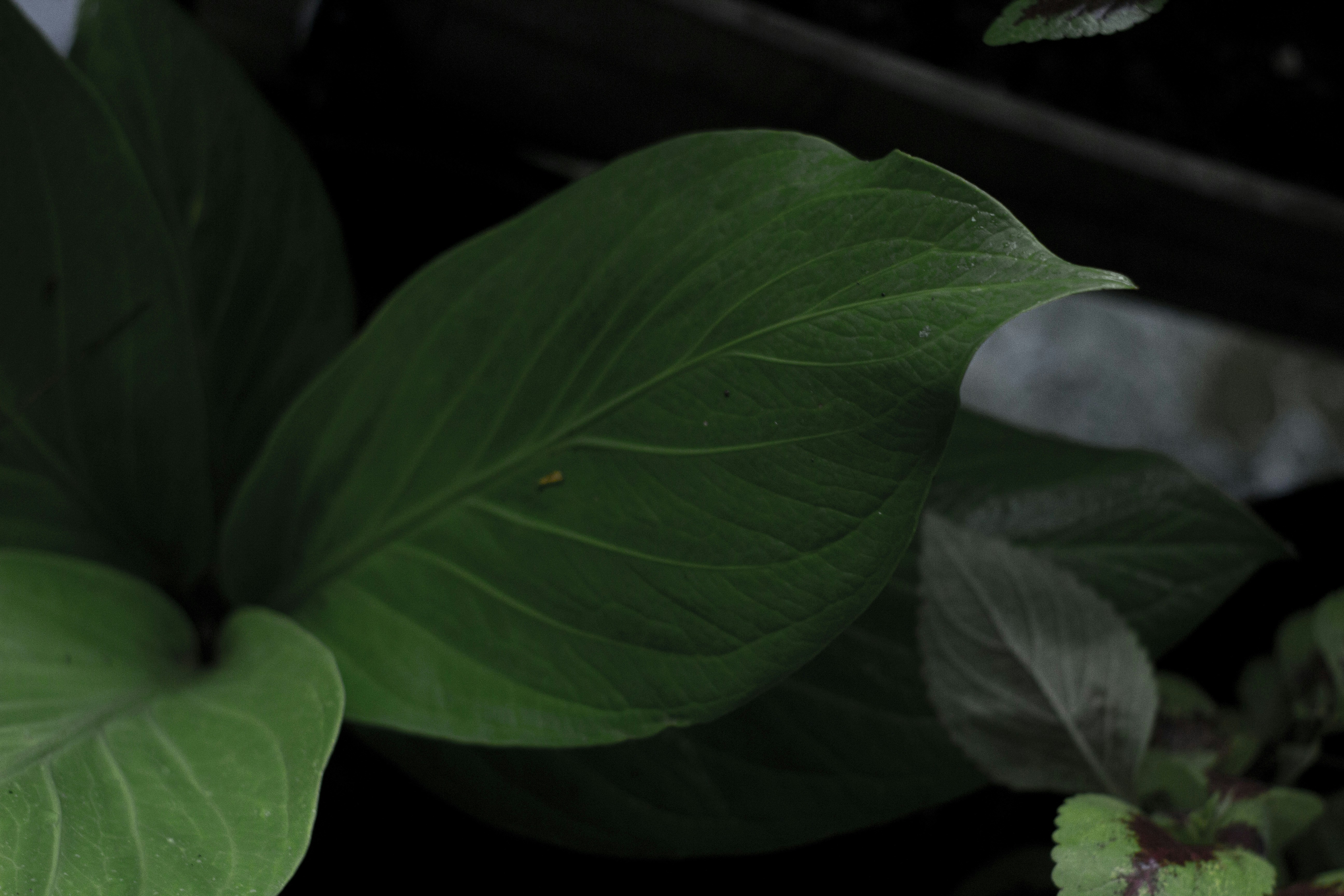 Photo by ilhamabitama