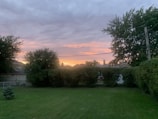 A sunset view over a well-kept yard with trimmed hedges and a wooden fence.