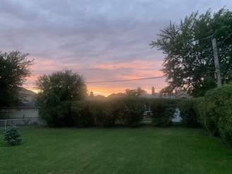 A backyard with neatly trimmed grass bordered by dense hedges and tall trees. The sky is filled with vibrant hues from a sunset, casting a warm glow over the scene. Power lines stretch across the view, and some houses are visible in the background.