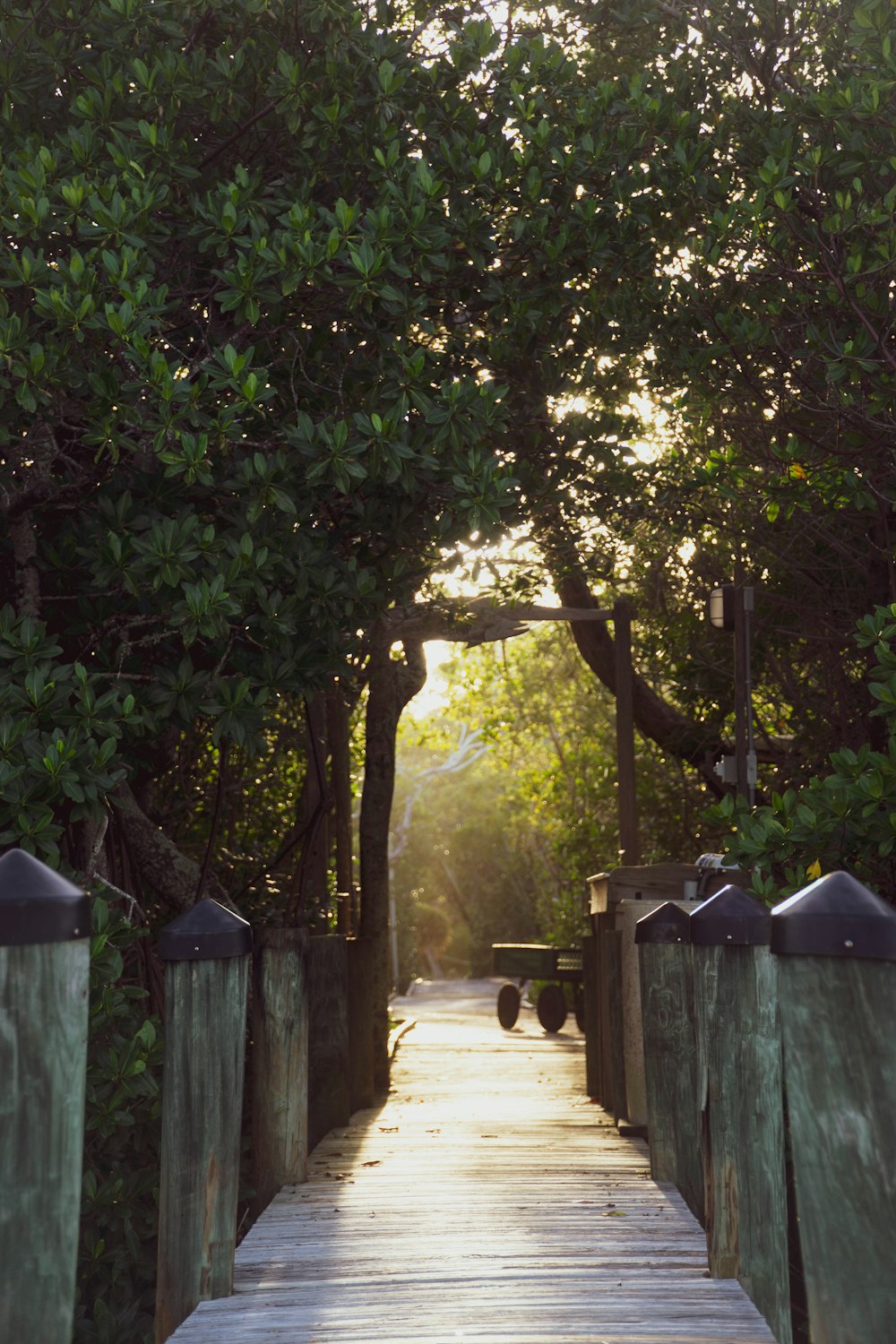 a wooden walkway leading to a park with benches