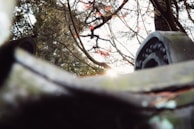 Detail of masonry work blending naturally with the sunlit landscape.