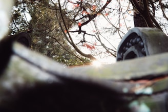 Detail of masonry work blending naturally with the sunlit landscape.
