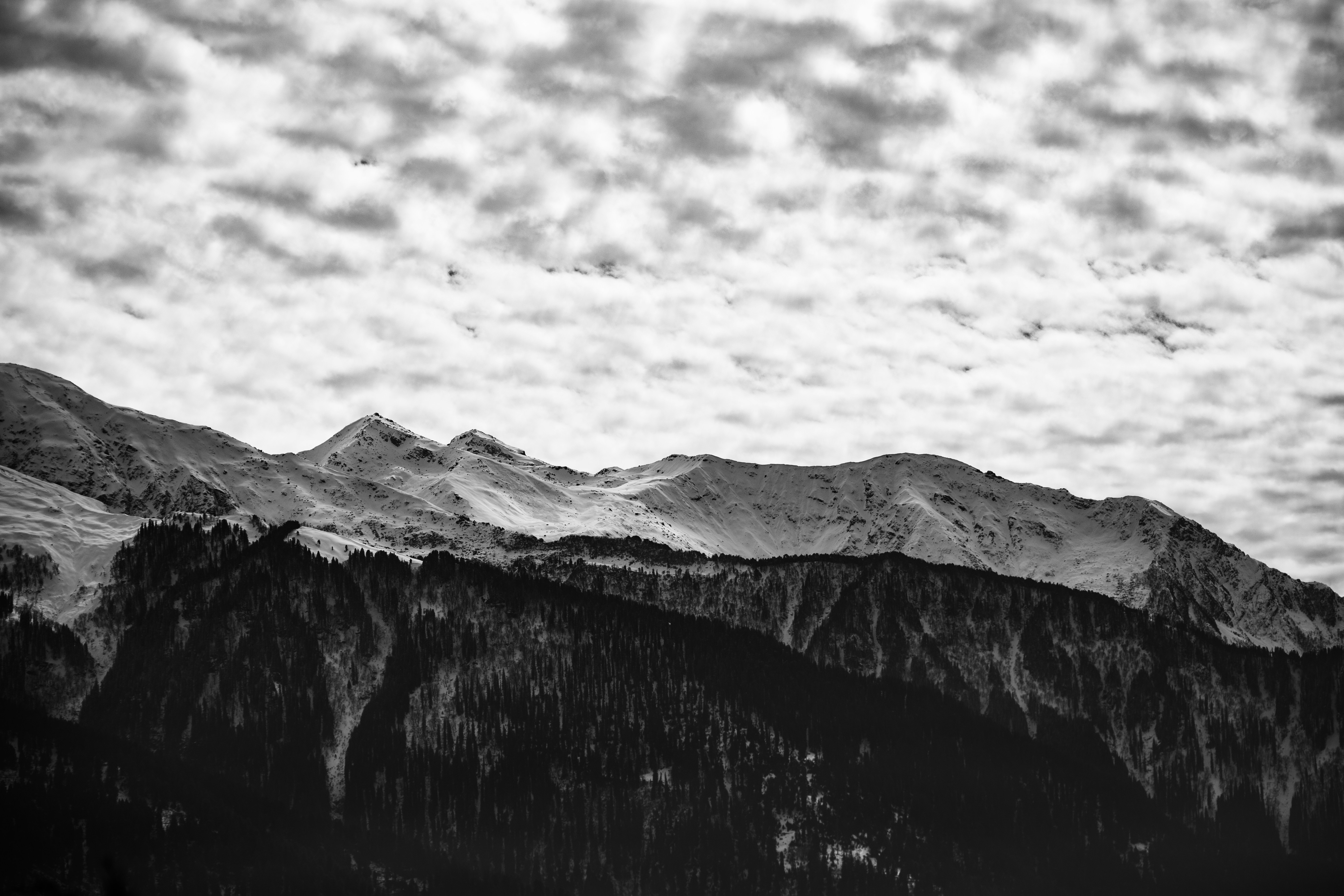 Photo by rohit_kumar_21