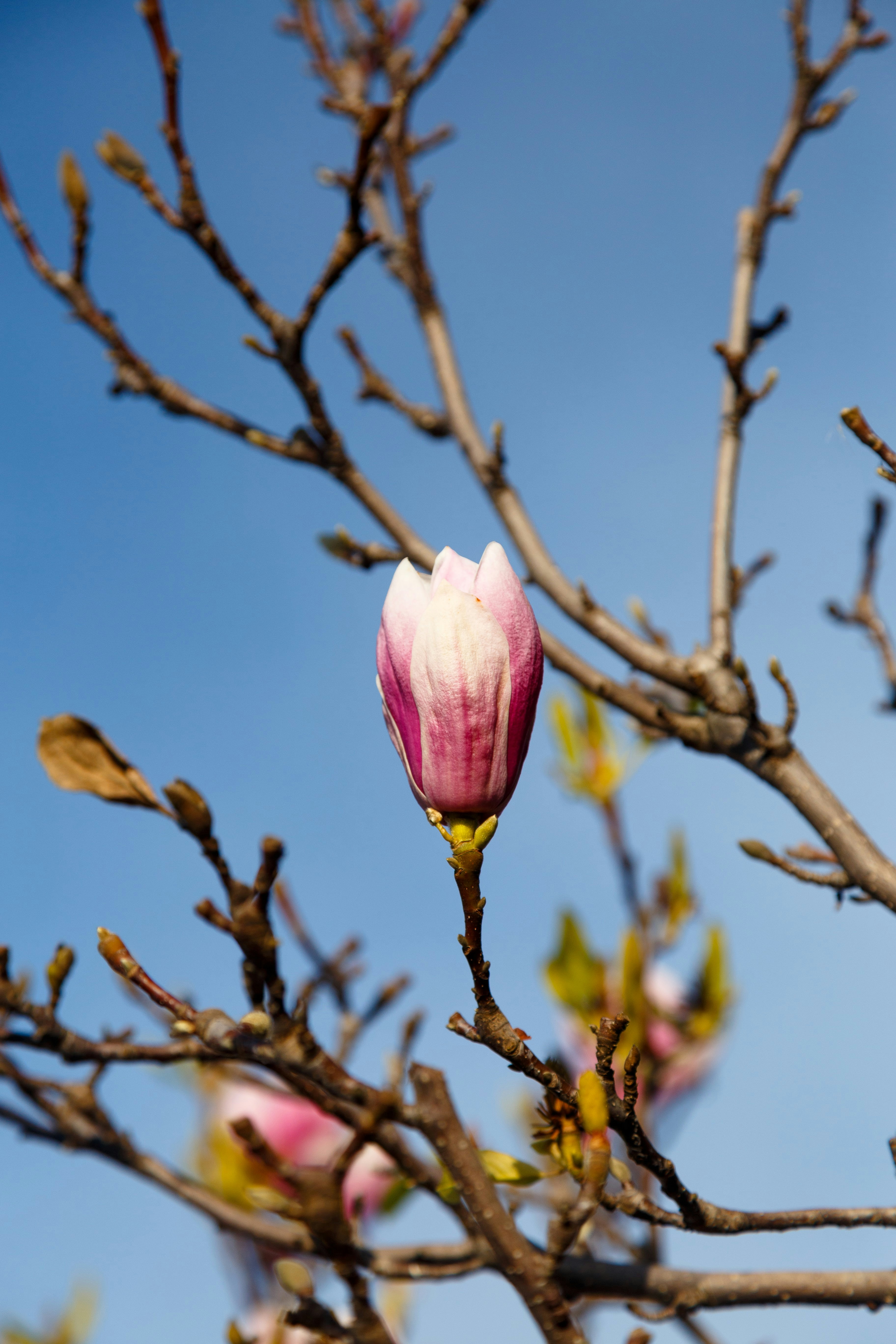 Photo by alien_roger