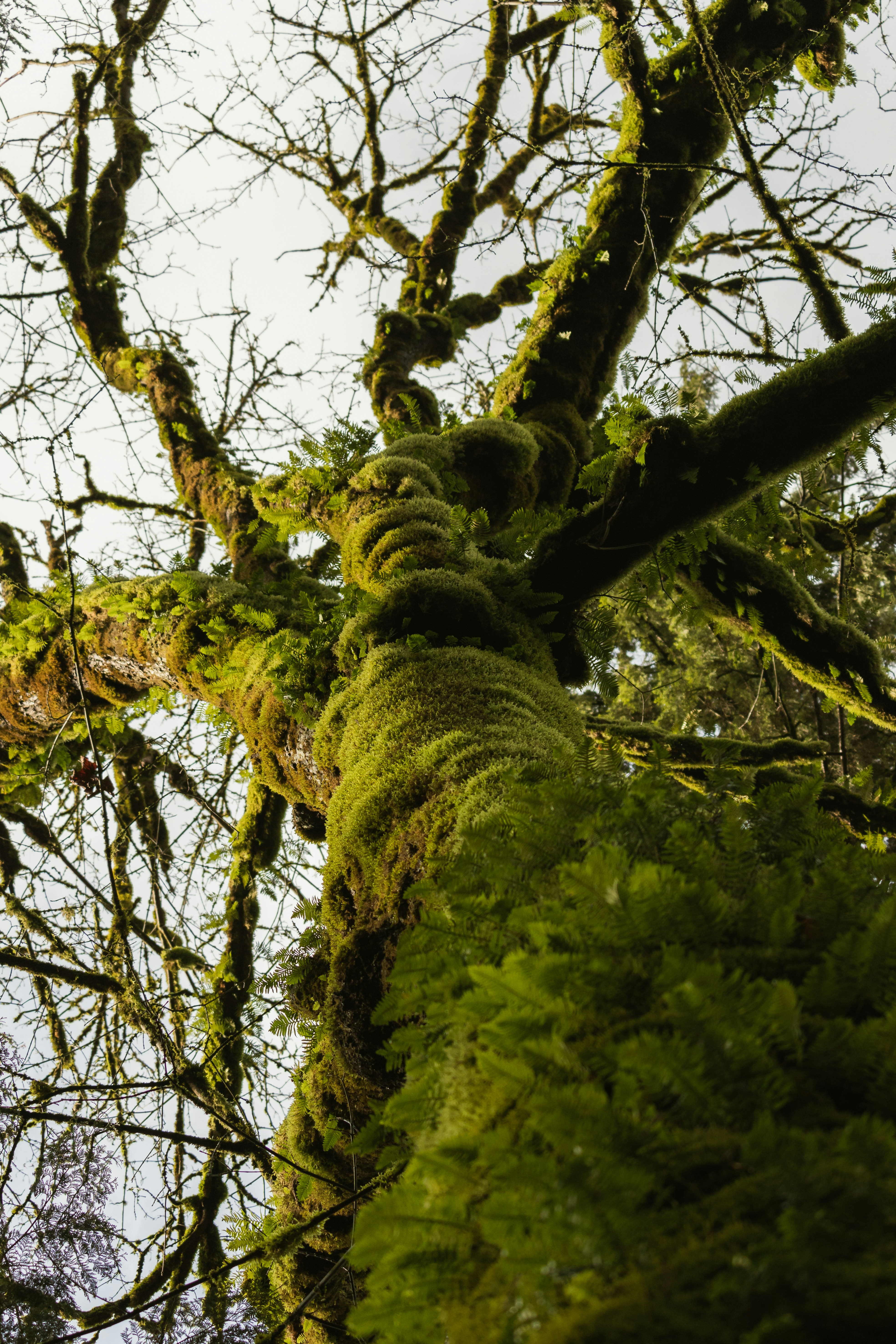 Photo by greg_rosenke