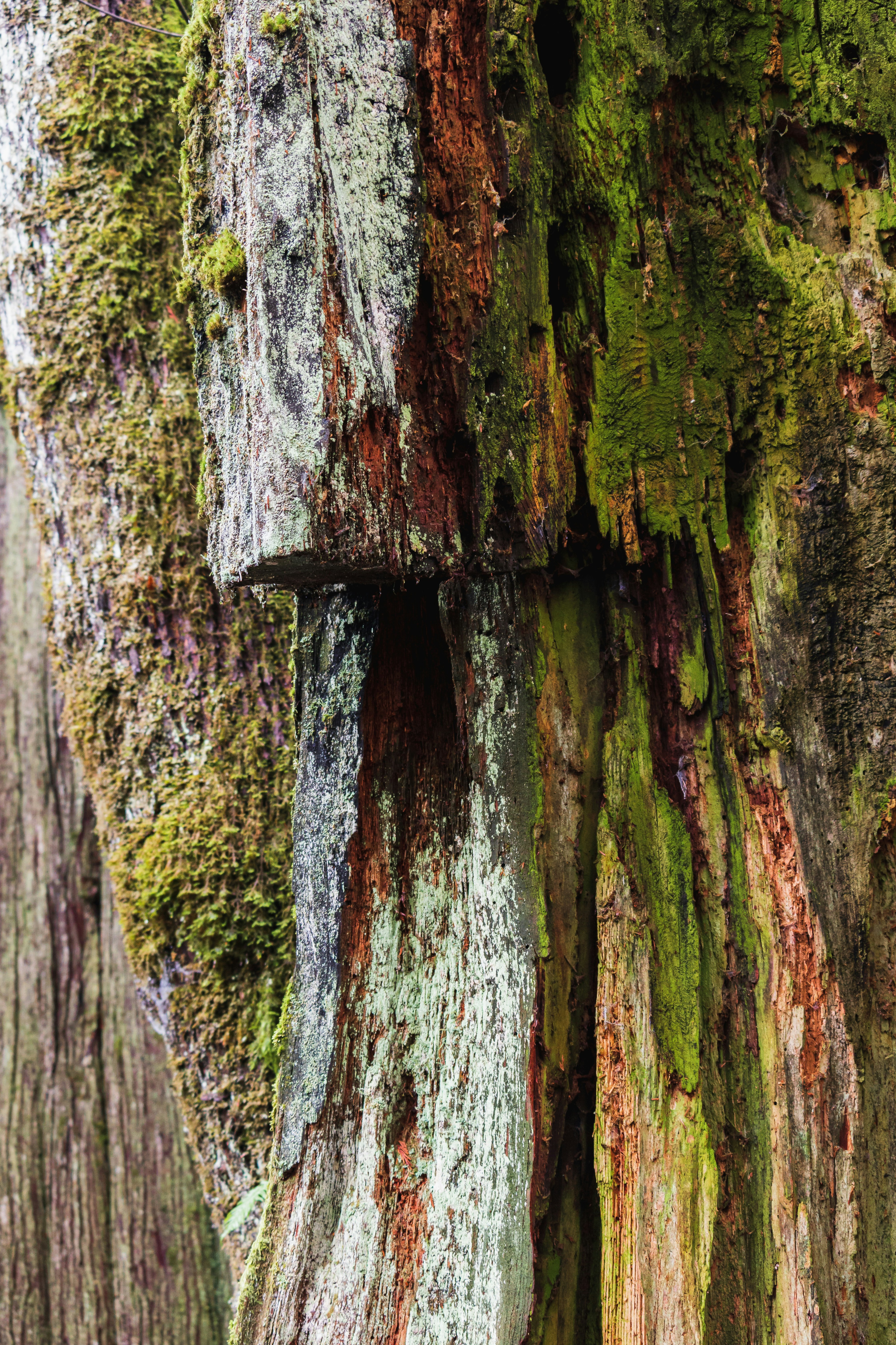 Photo by greg_rosenke