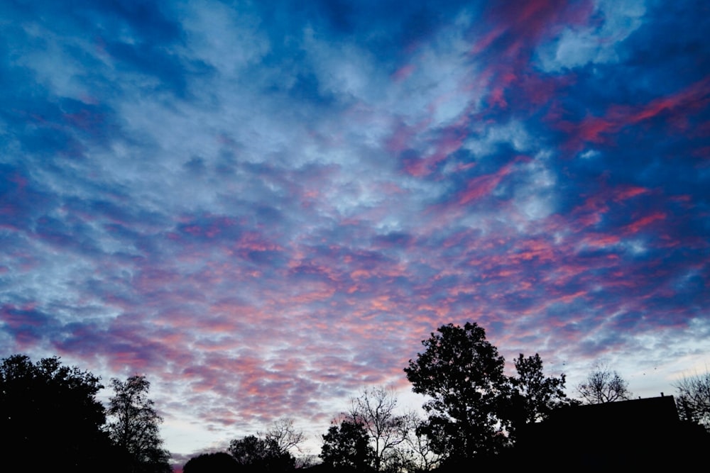 a blue and pink sky with clouds and trees