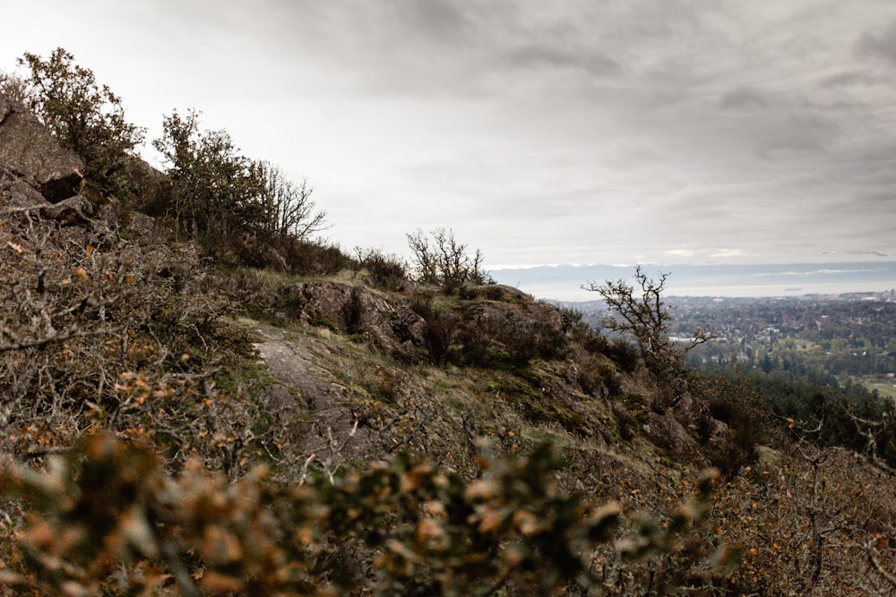 a man riding a mountain bike down a lush green hillside