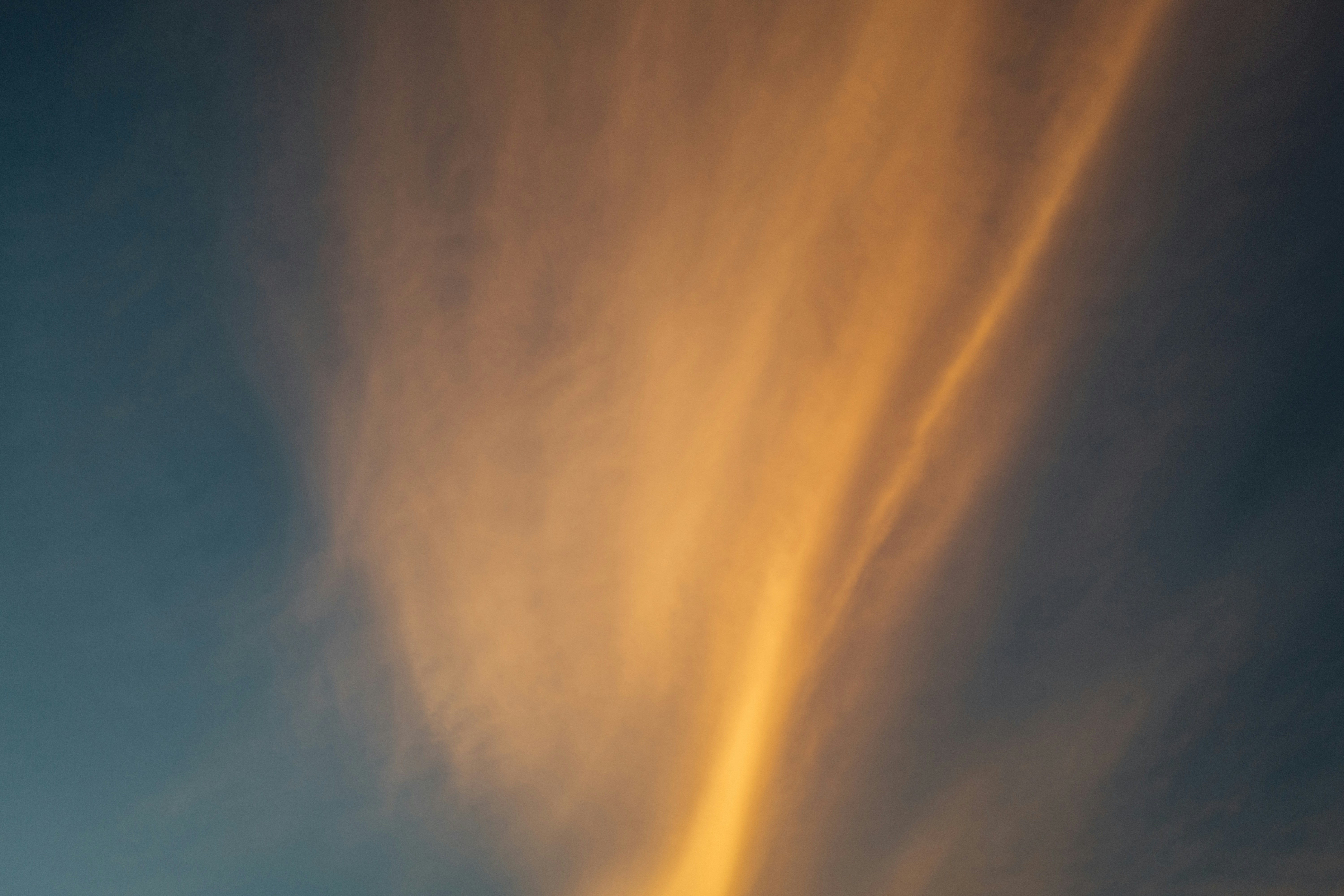 Photo by chuttersnap