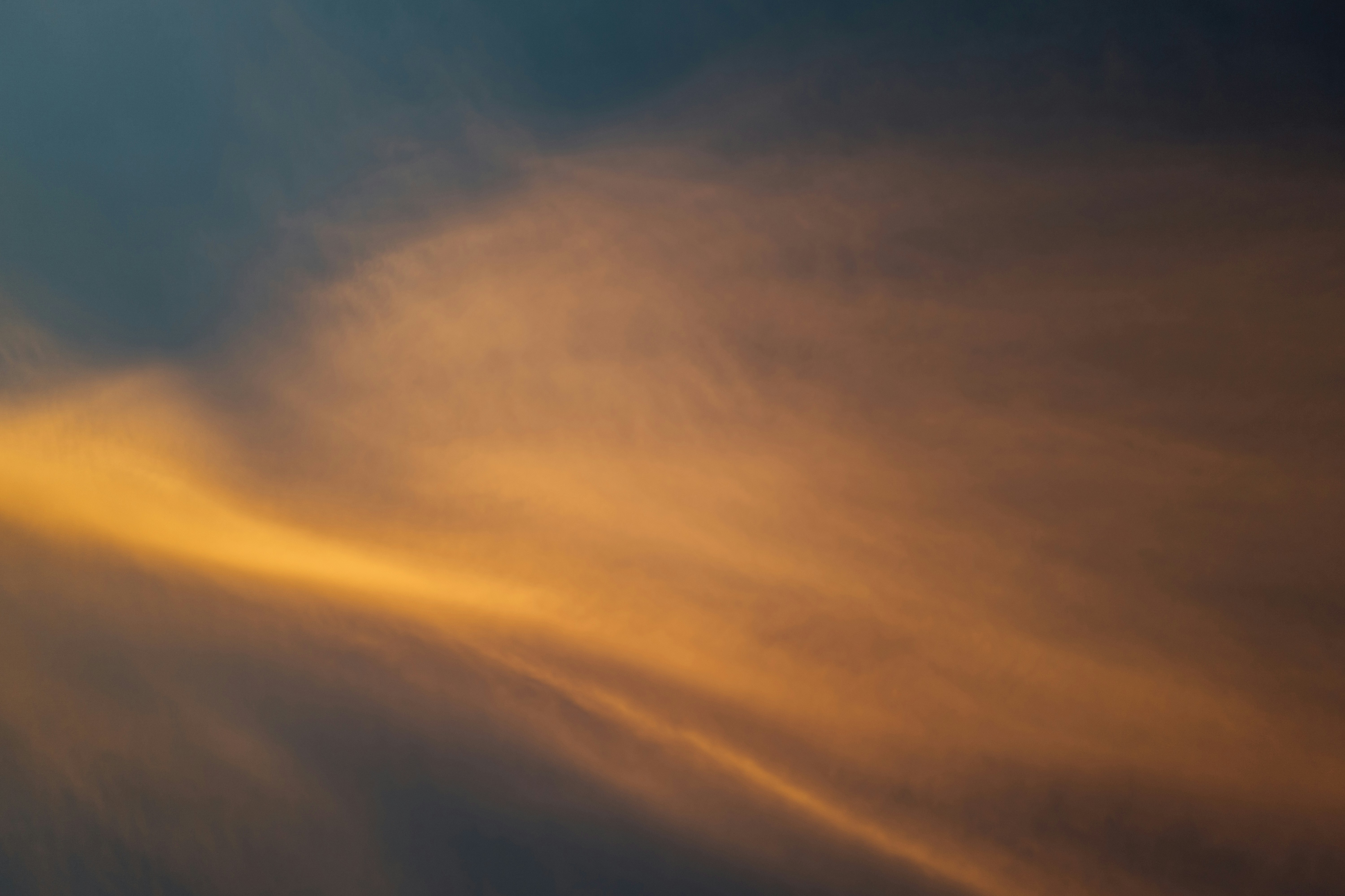 Photo by chuttersnap