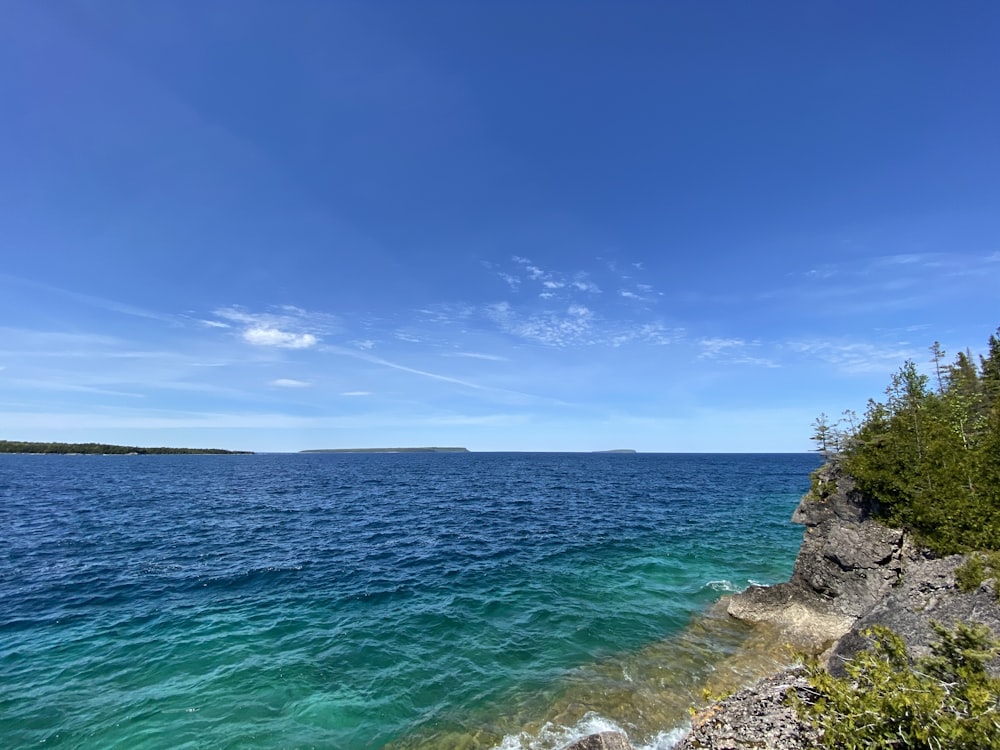 a body of water sitting next to a lush green forest